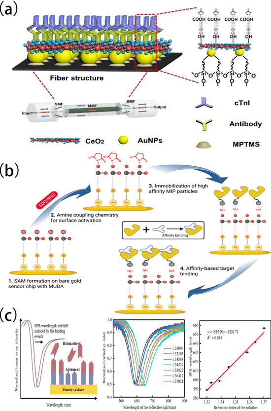 Biomolecules 15 00858 g004