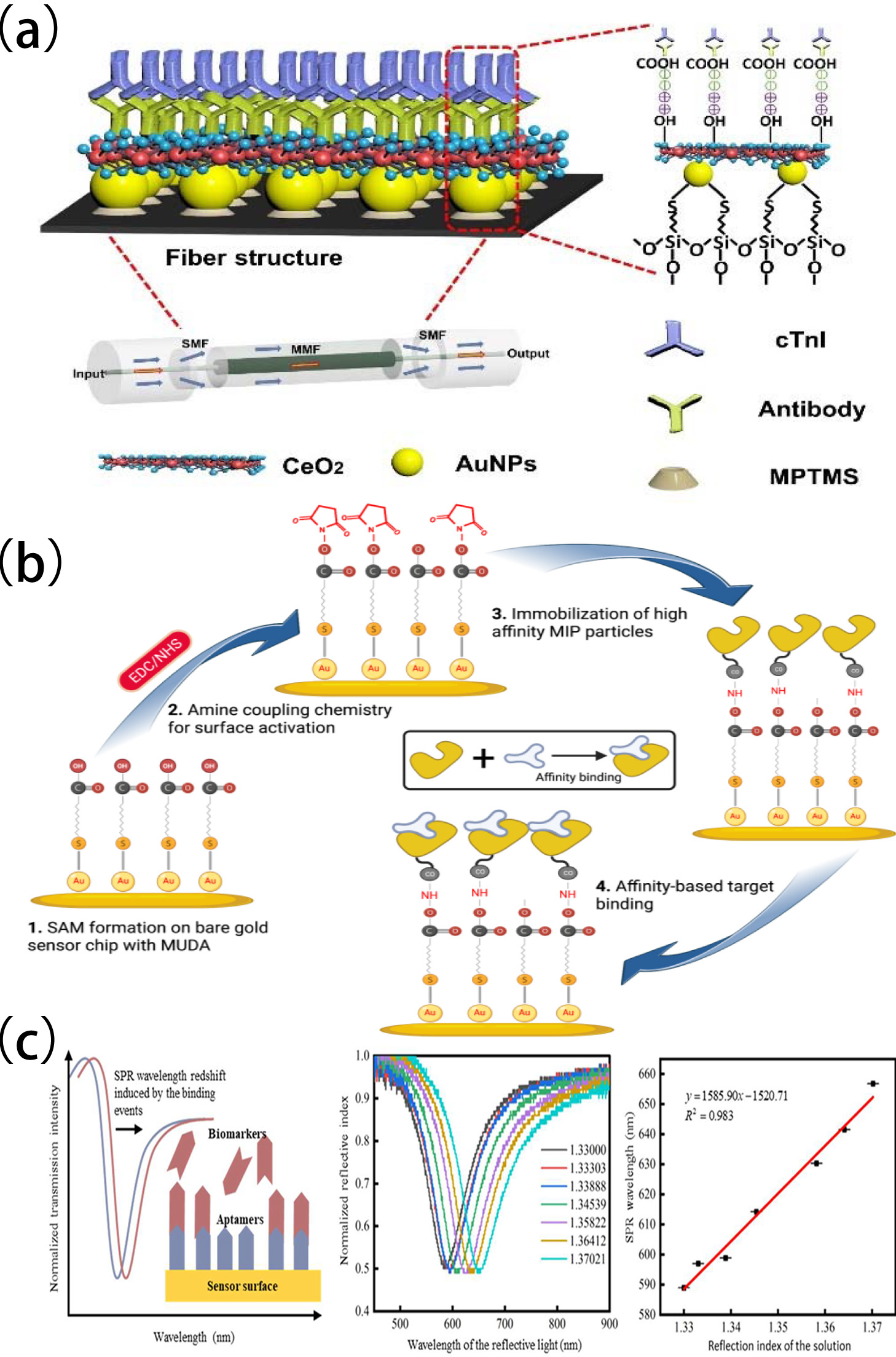 Biomolecules 15 00858 g004