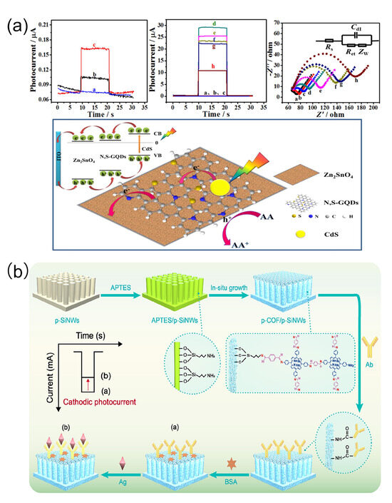 Biomolecules 15 00858 g006