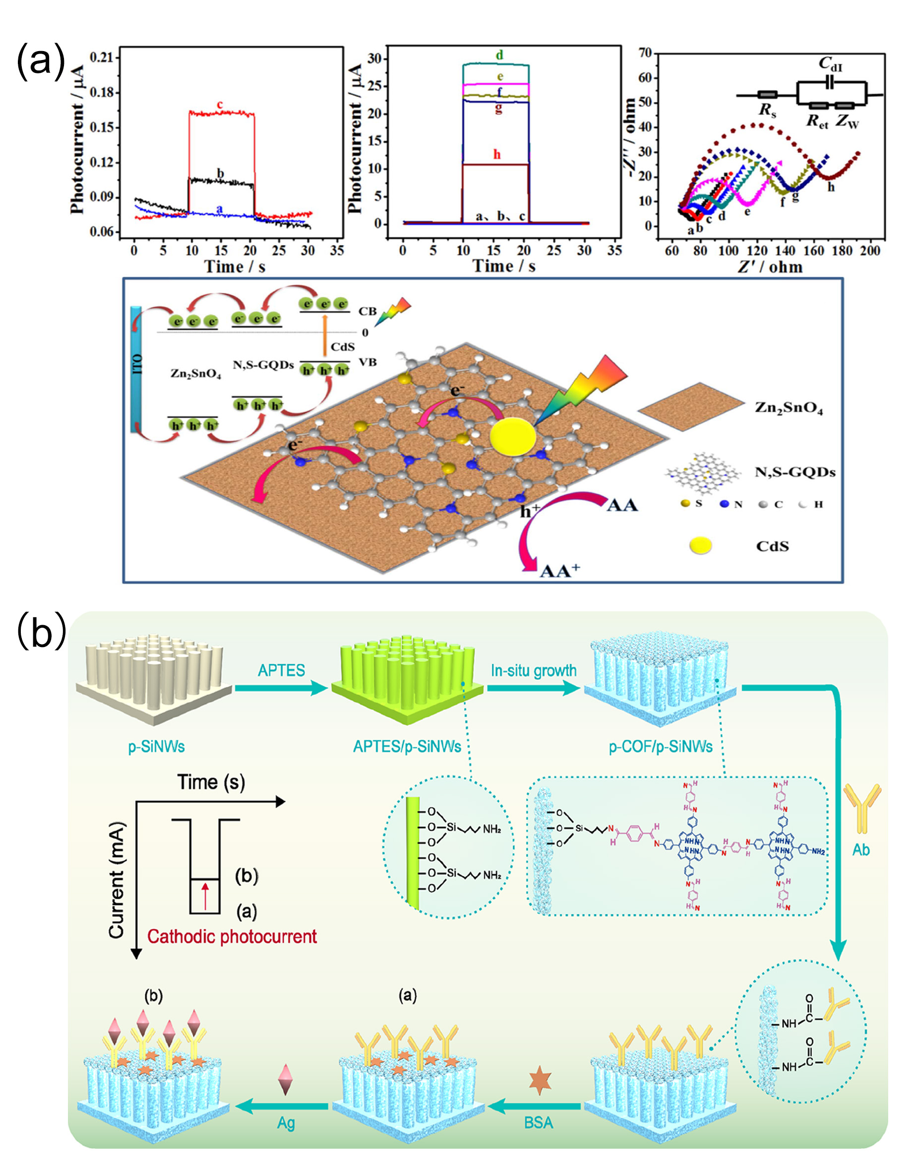 Biomolecules 15 00858 g006