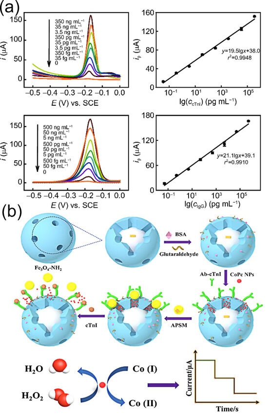 Biomolecules 15 00858 g007