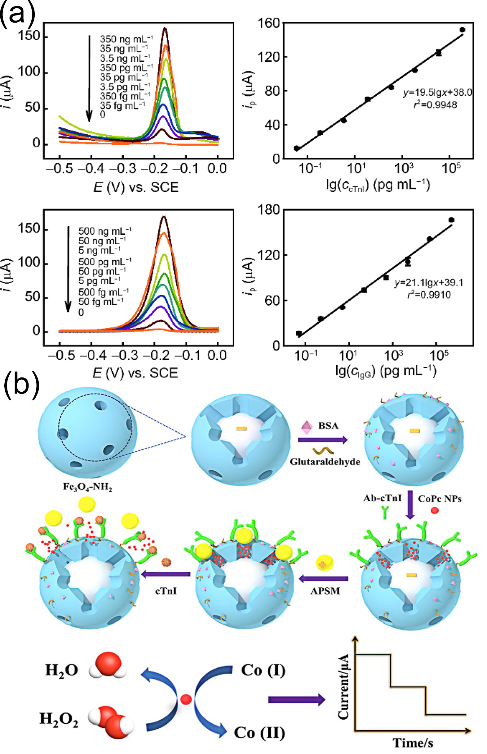 Biomolecules 15 00858 g007