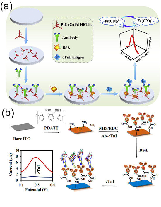 Biomolecules 15 00858 g008