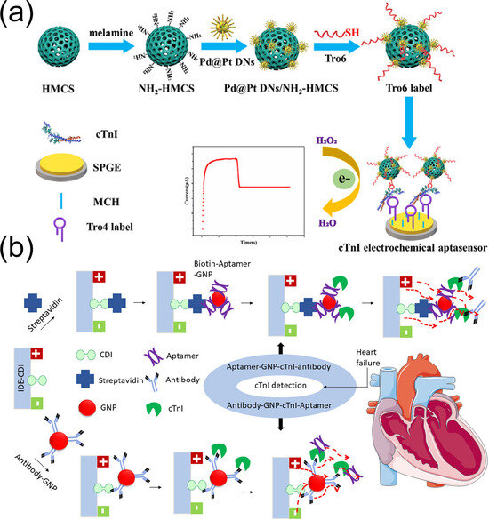Biomolecules 15 00858 g009