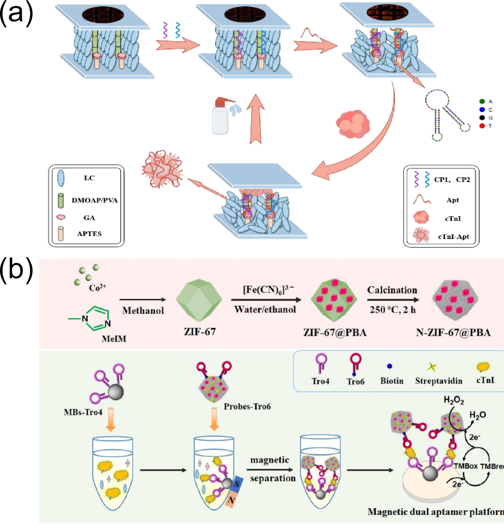 Biomolecules 15 00858 g010