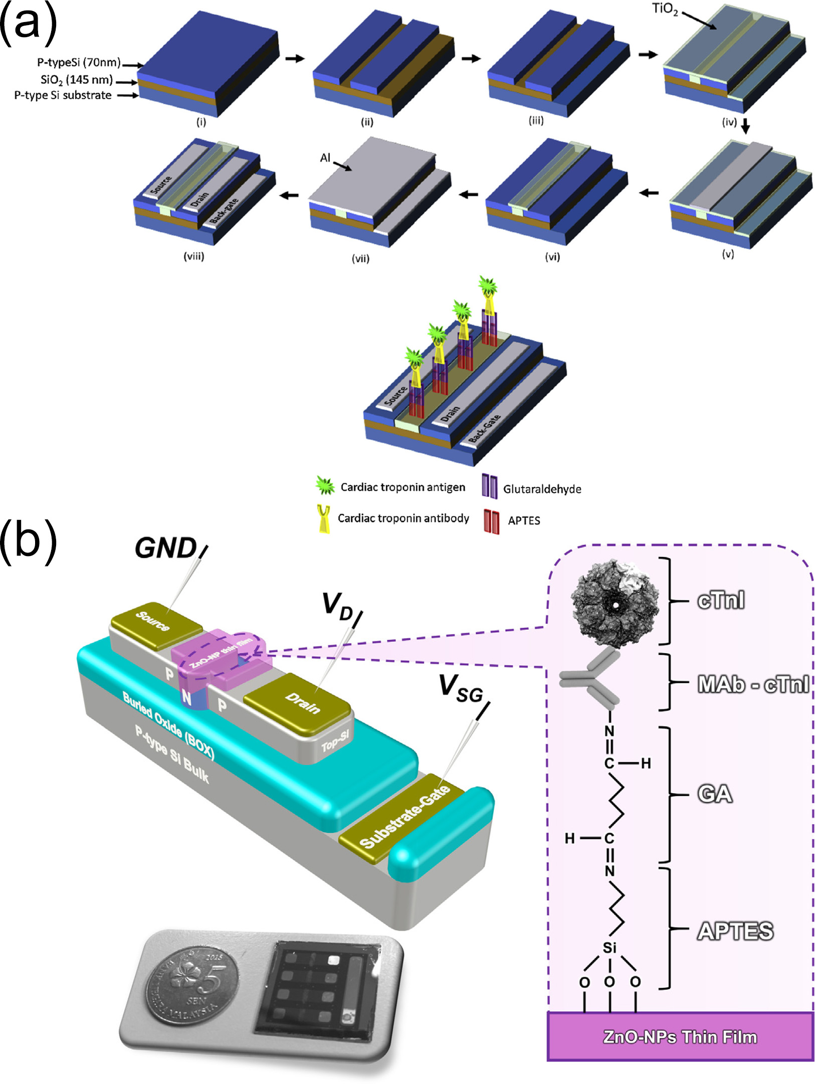 Biomolecules 15 00858 g011