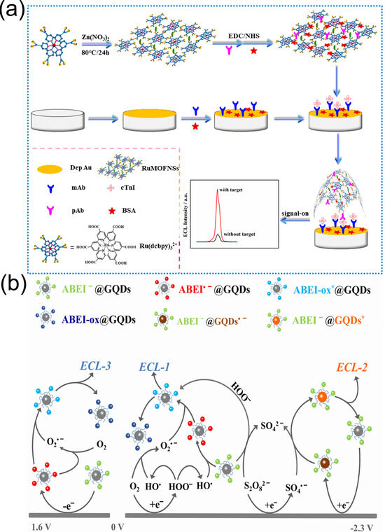 Biomolecules 15 00858 g012