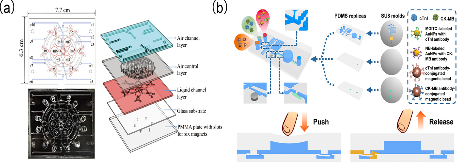 Biomolecules 15 00858 g013