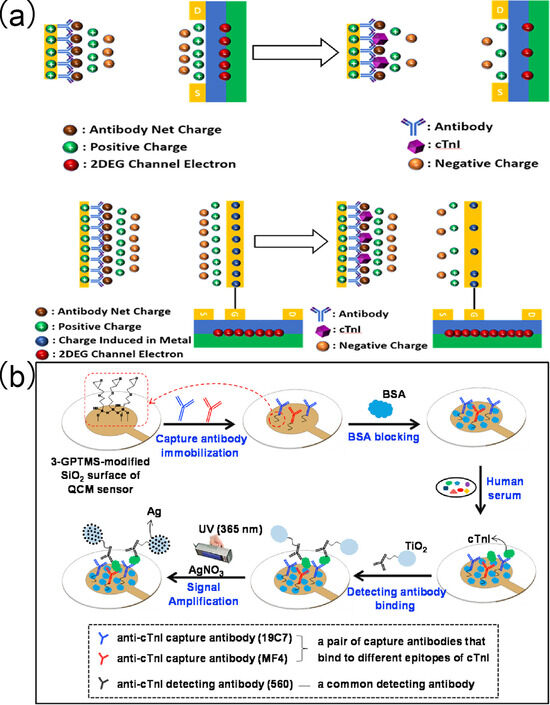 Biomolecules 15 00858 g014