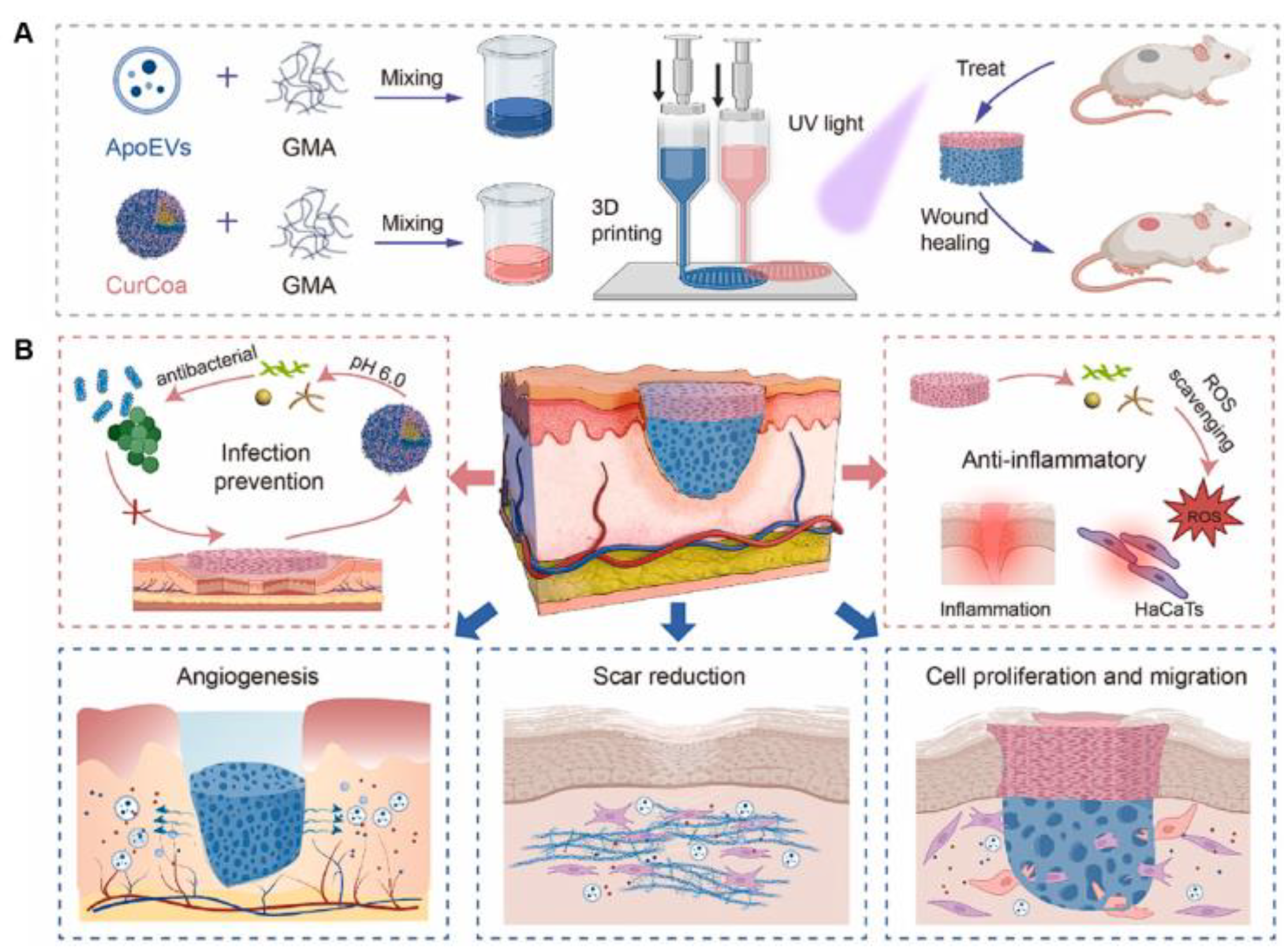Biomolecules 15 00861 g009