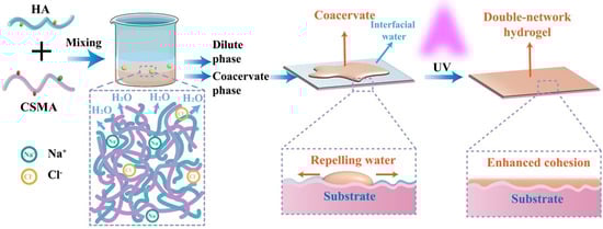 Biomolecules 15 00861 g010