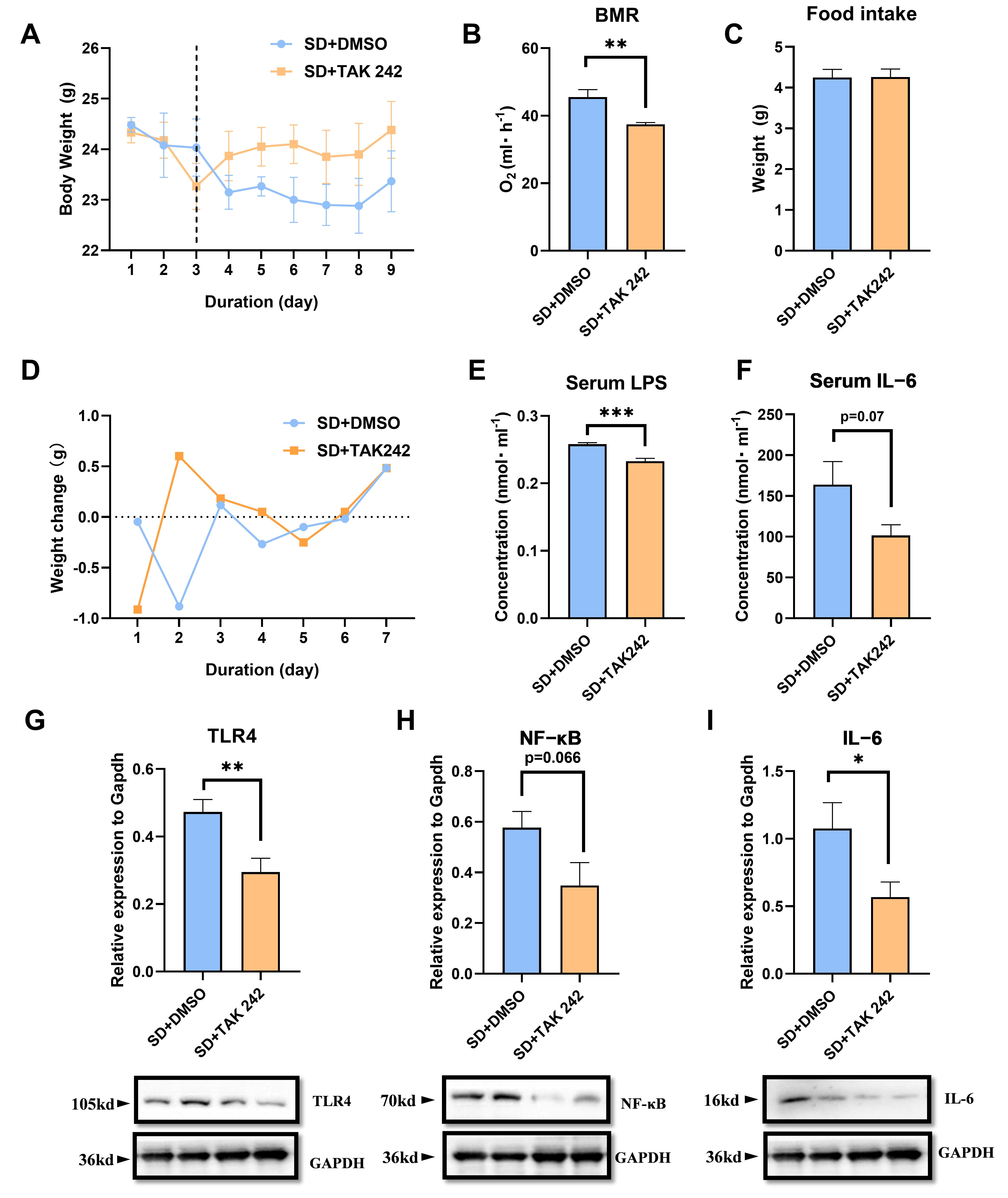 Biomolecules 15 00862 g006