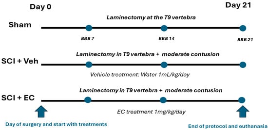 Biomolecules 15 00869 g002