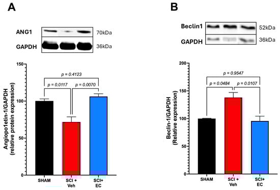 Biomolecules 15 00869 g004