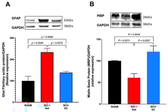 Biomolecules 15 00869 g005
