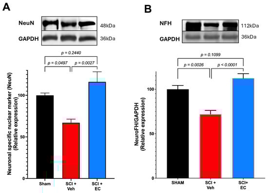Biomolecules 15 00869 g006