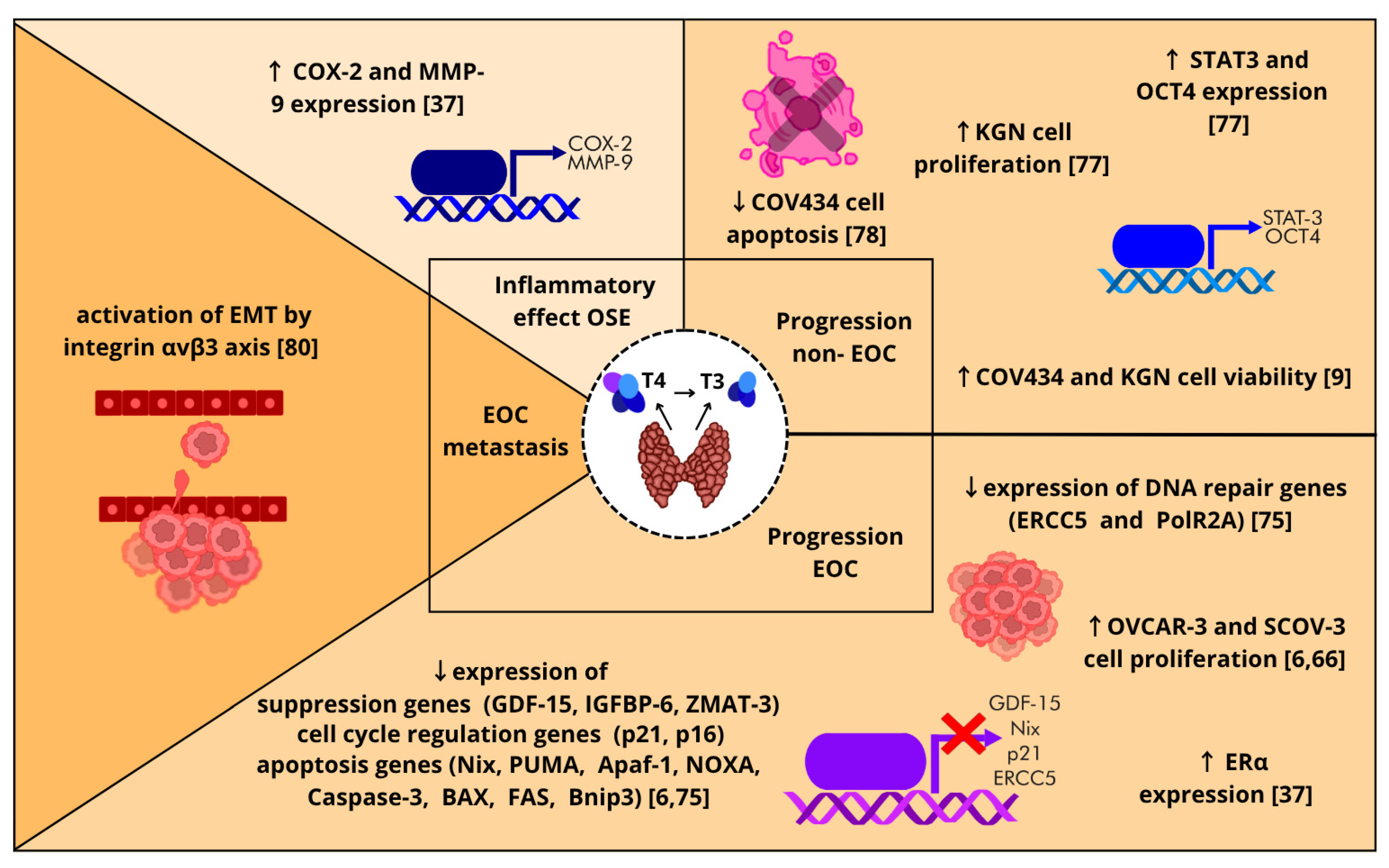 Biomolecules 15 00870 g009 Biomolecules 15 00870 g009