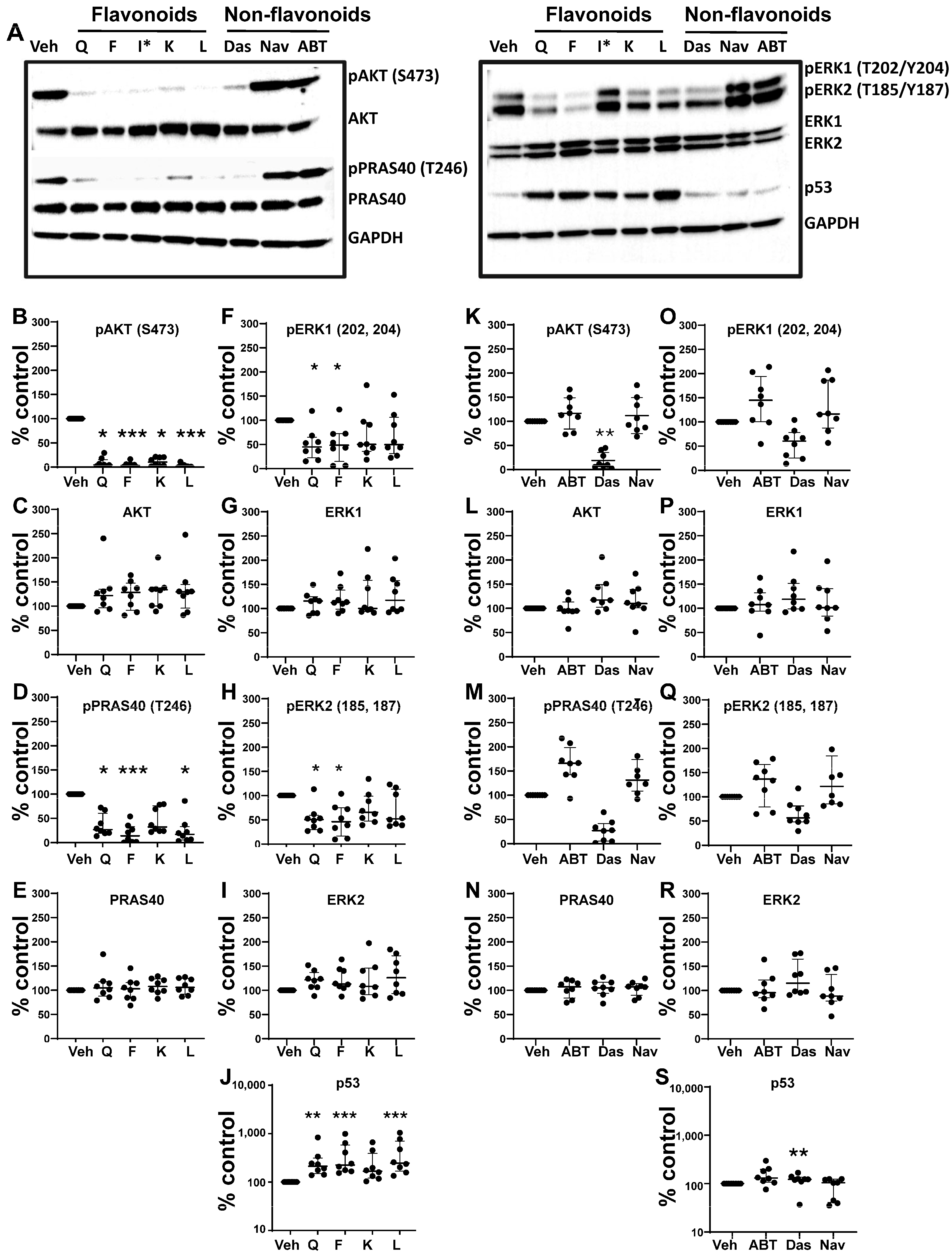 Biomolecules 15 00873 g005 Biomolecules 15 00873 g005
