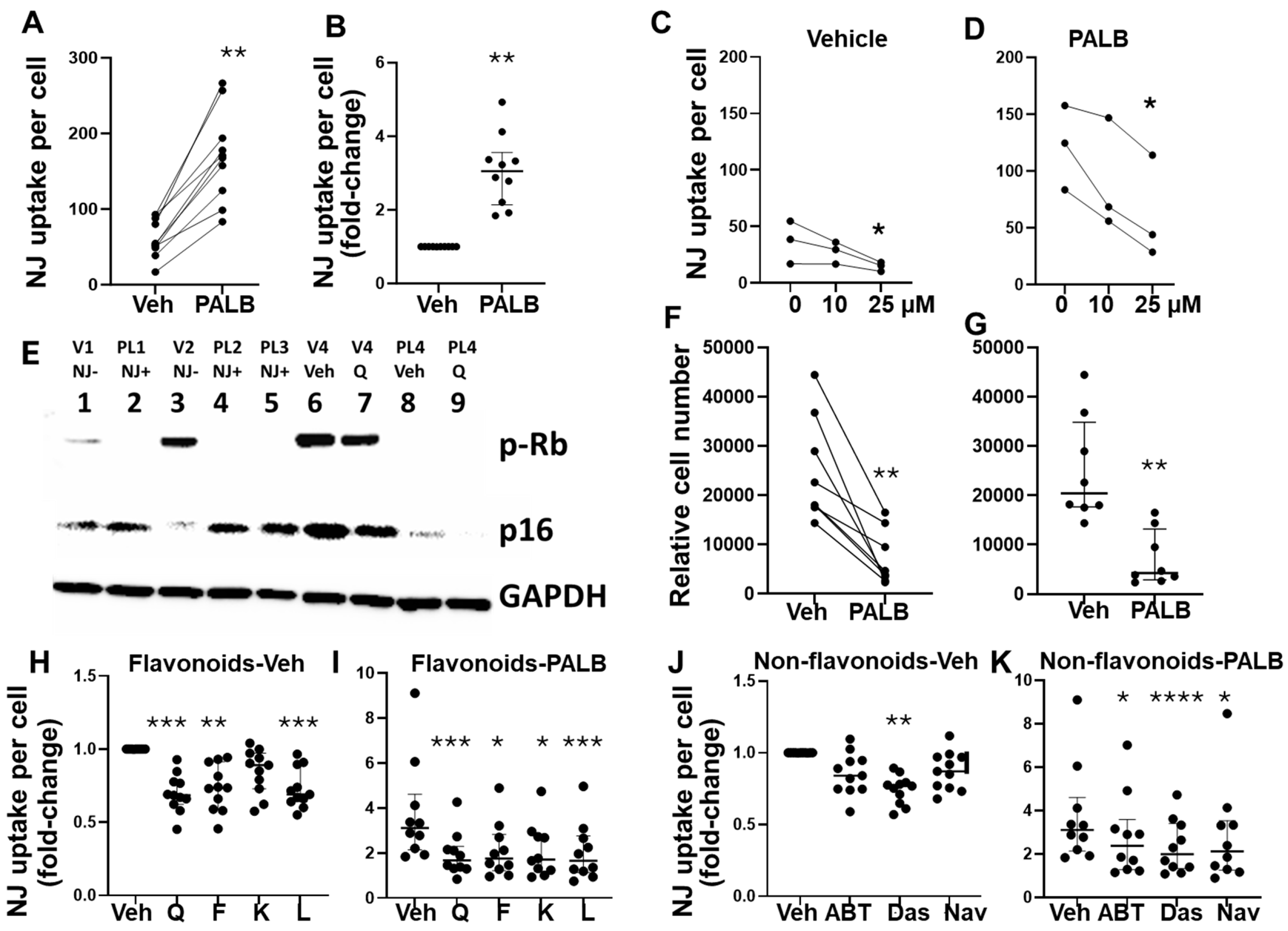 Biomolecules 15 00873 g006 Biomolecules 15 00873 g006