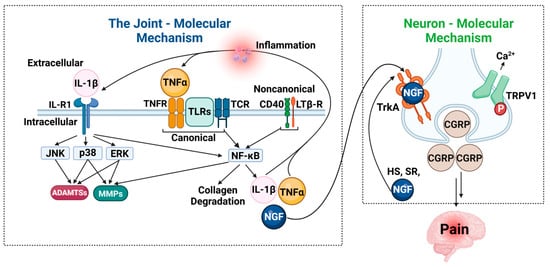 Biomolecules 15 00874 g005