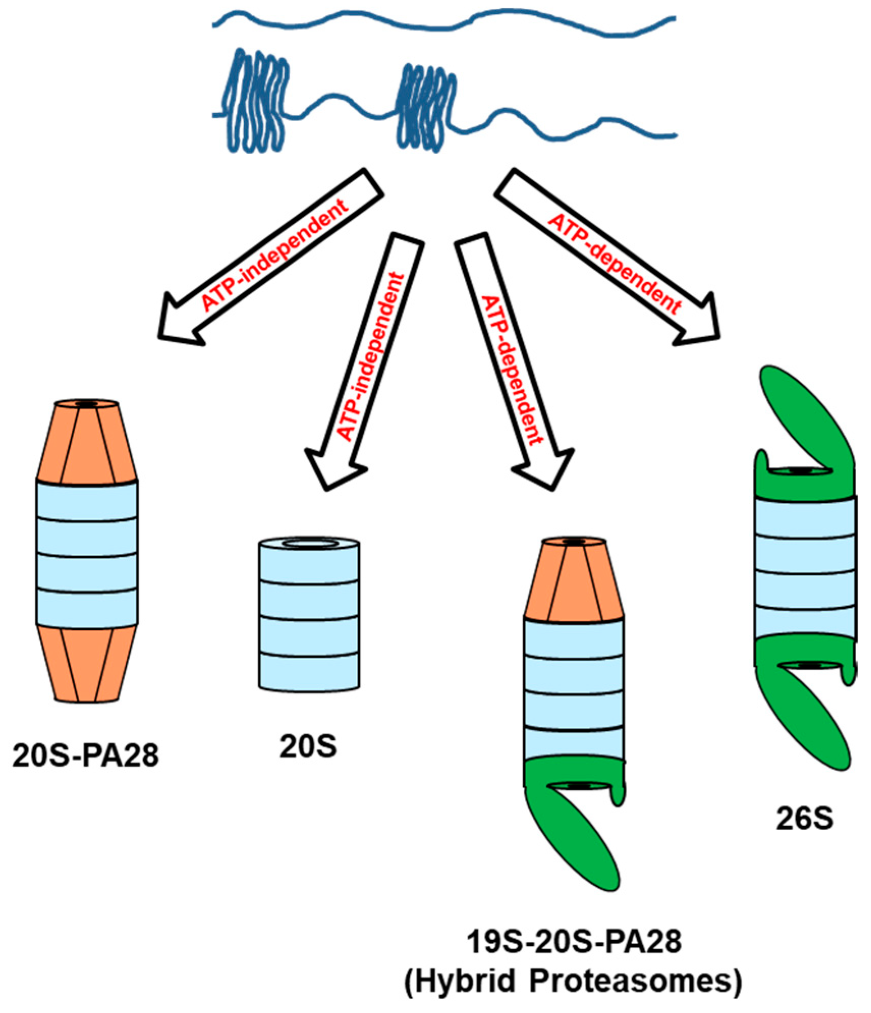 Biomolecules 15 00880 g001