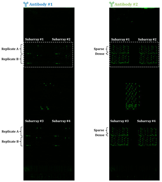 Biomolecules 15 00882 g0a1