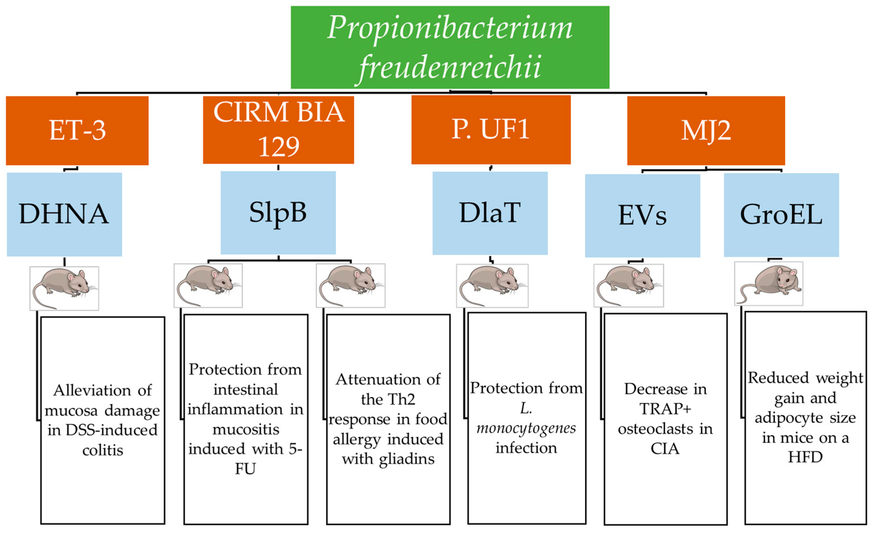 Biomolecules 15 00886 g001