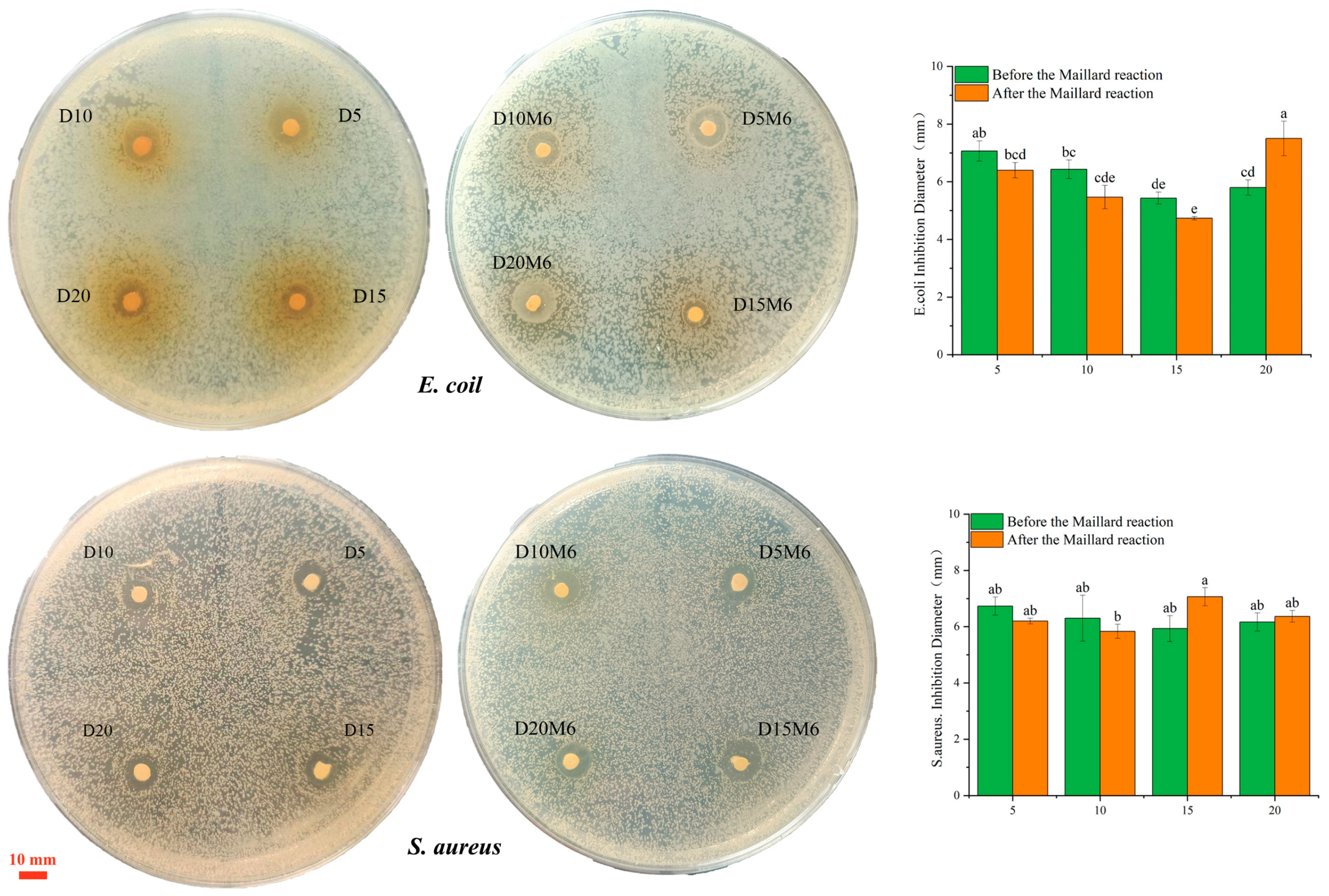 Biomolecules 15 00891 g013