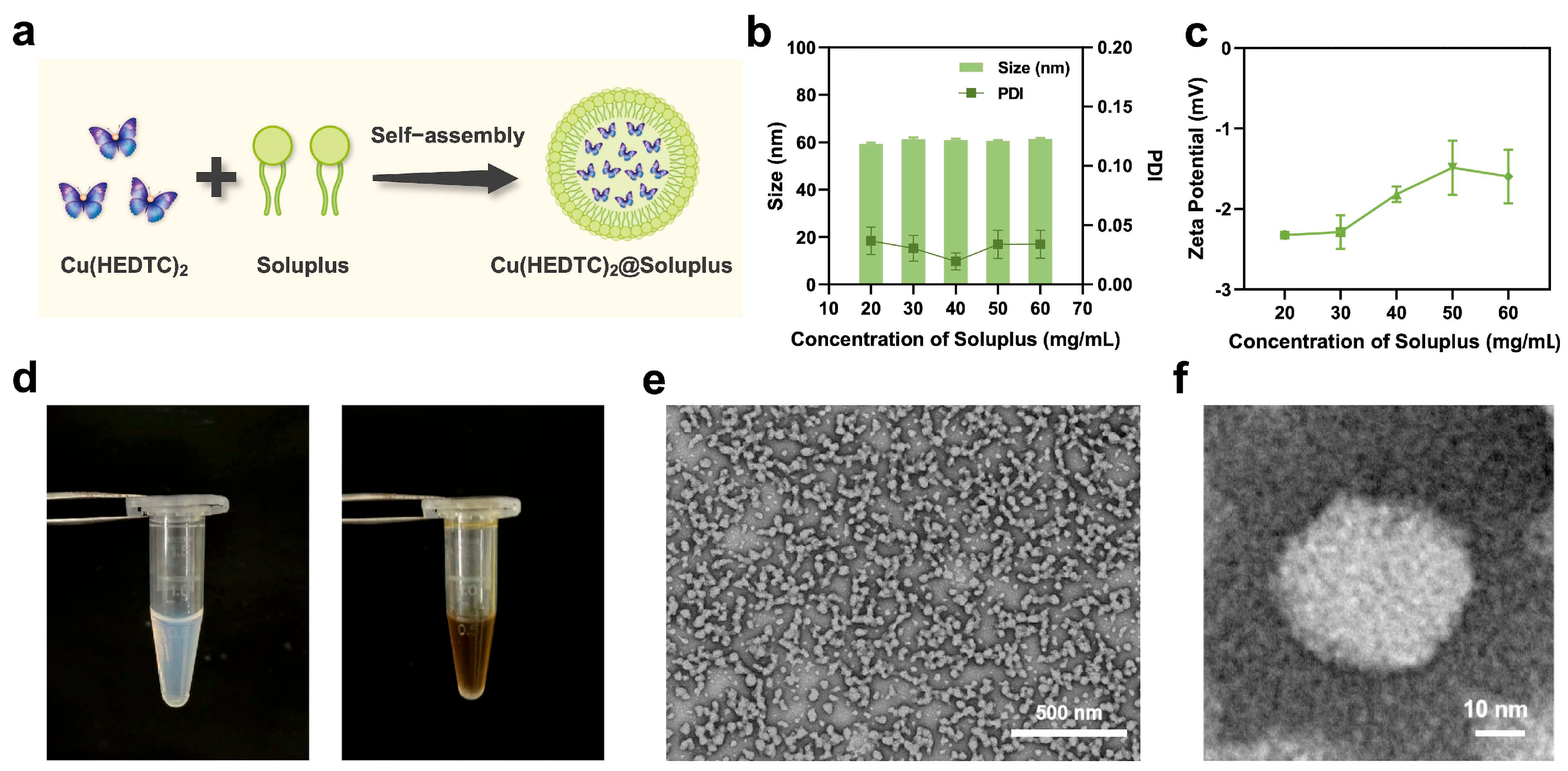 Biomolecules 15 00895 g001