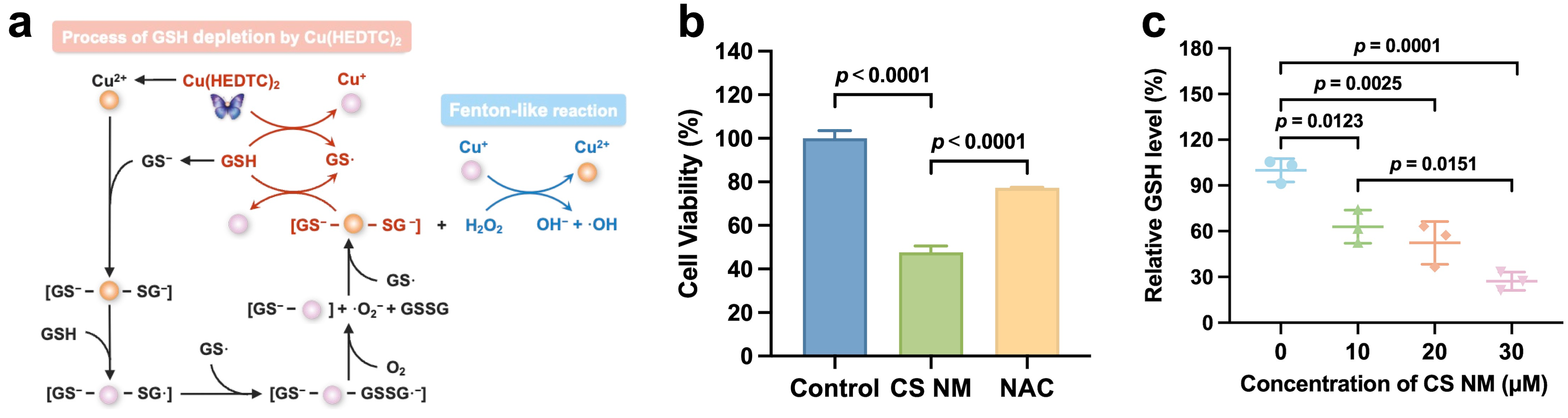 Biomolecules 15 00895 g005