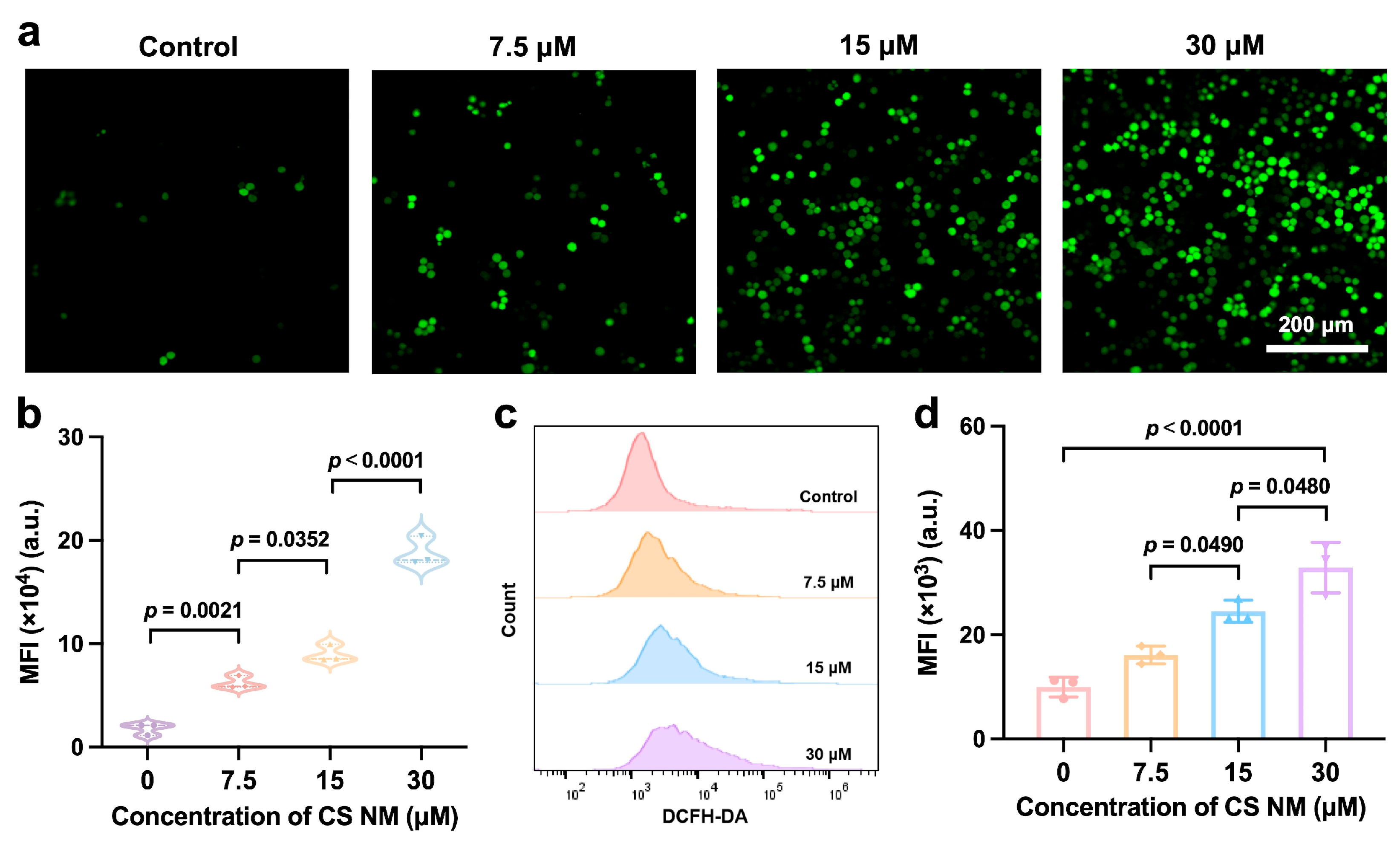 Biomolecules 15 00895 g006