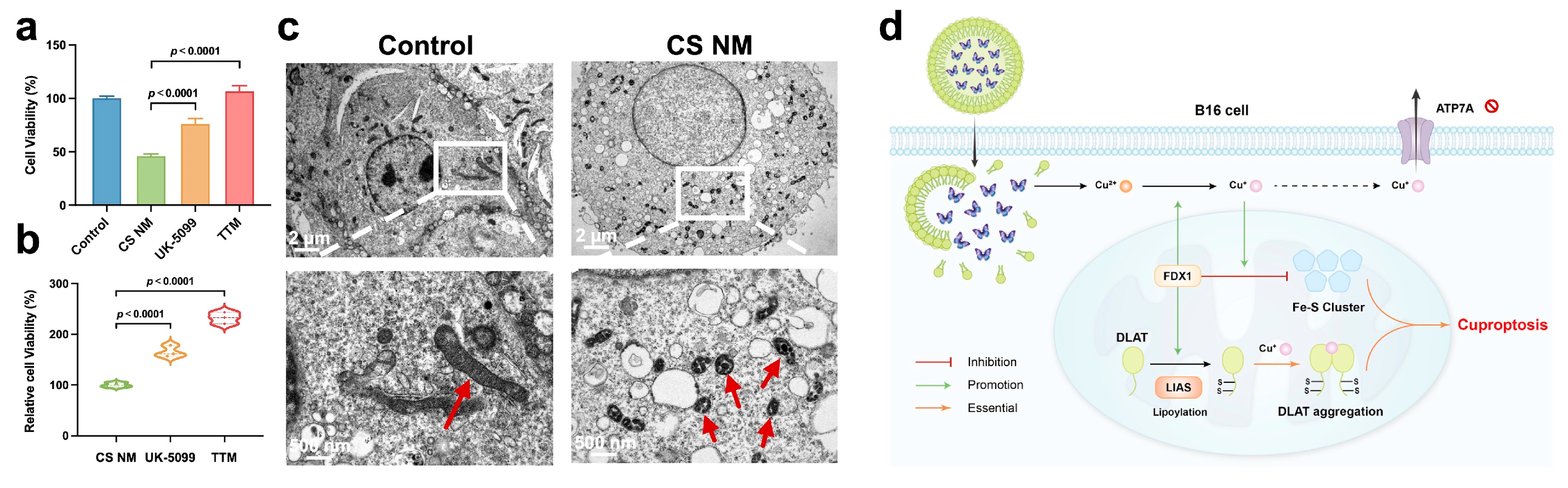 Biomolecules 15 00895 g007