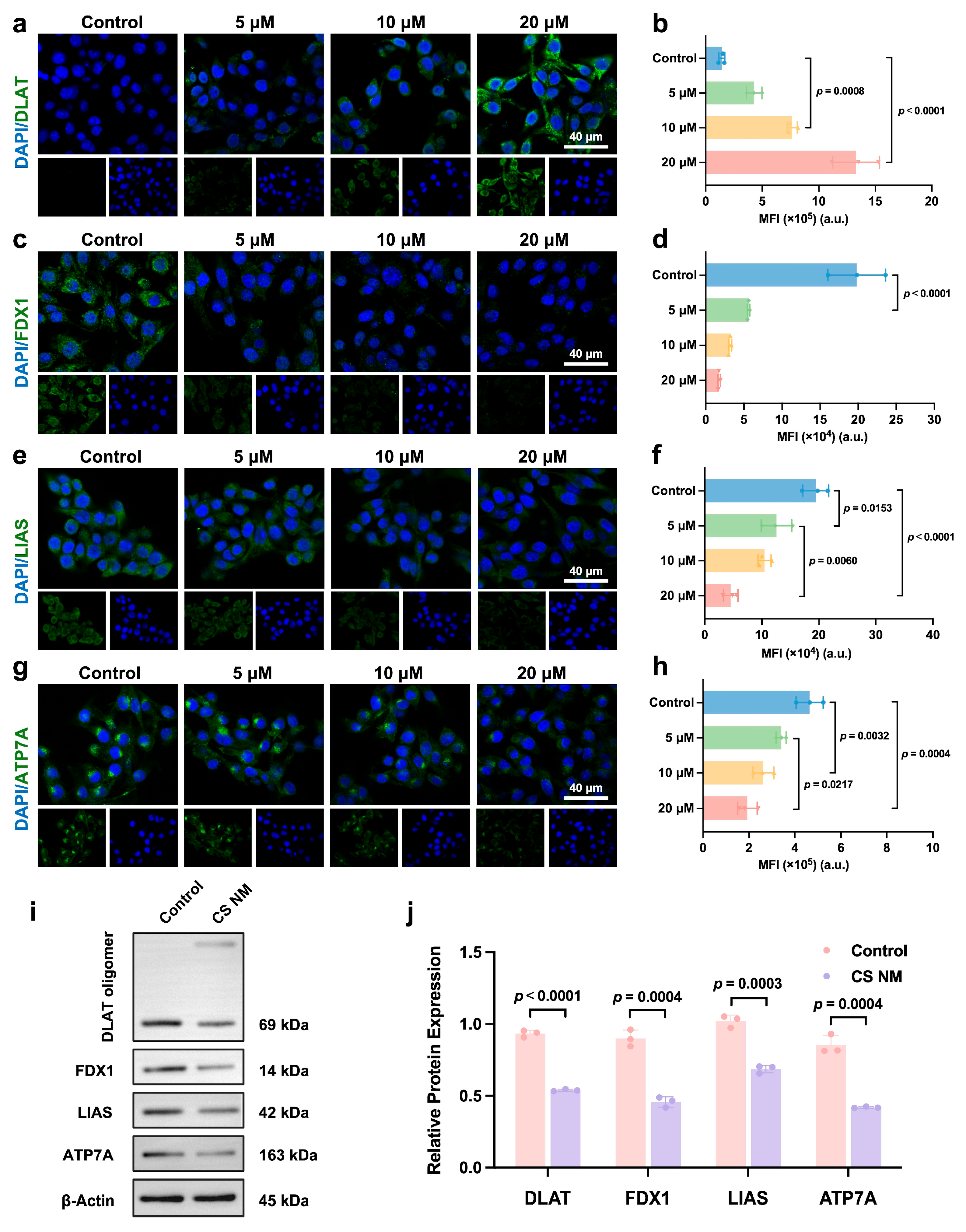 Biomolecules 15 00895 g008