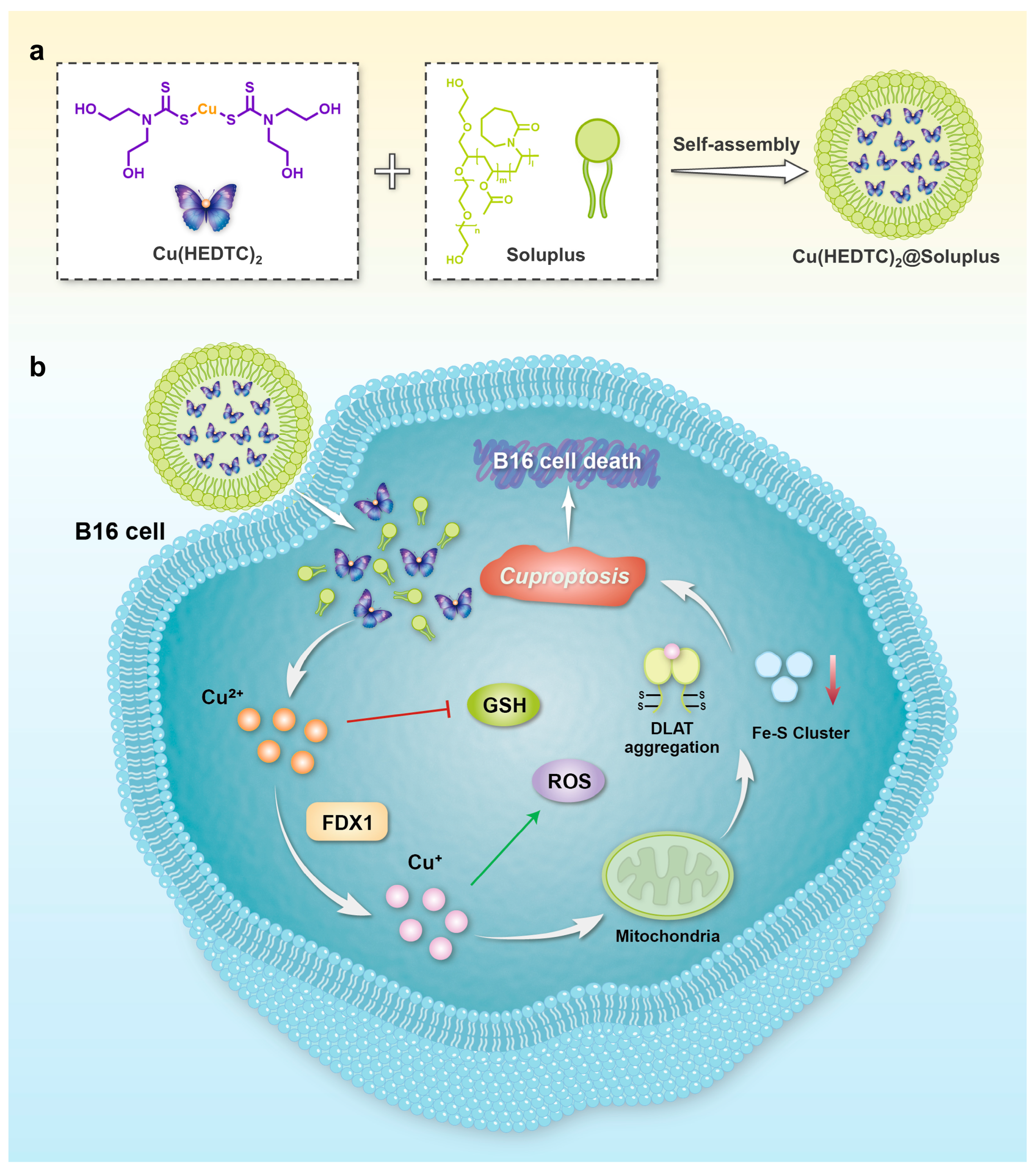 Biomolecules 15 00895 sch001