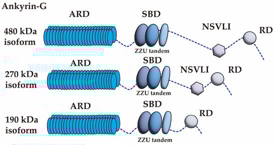Biomolecules 15 00901 g003