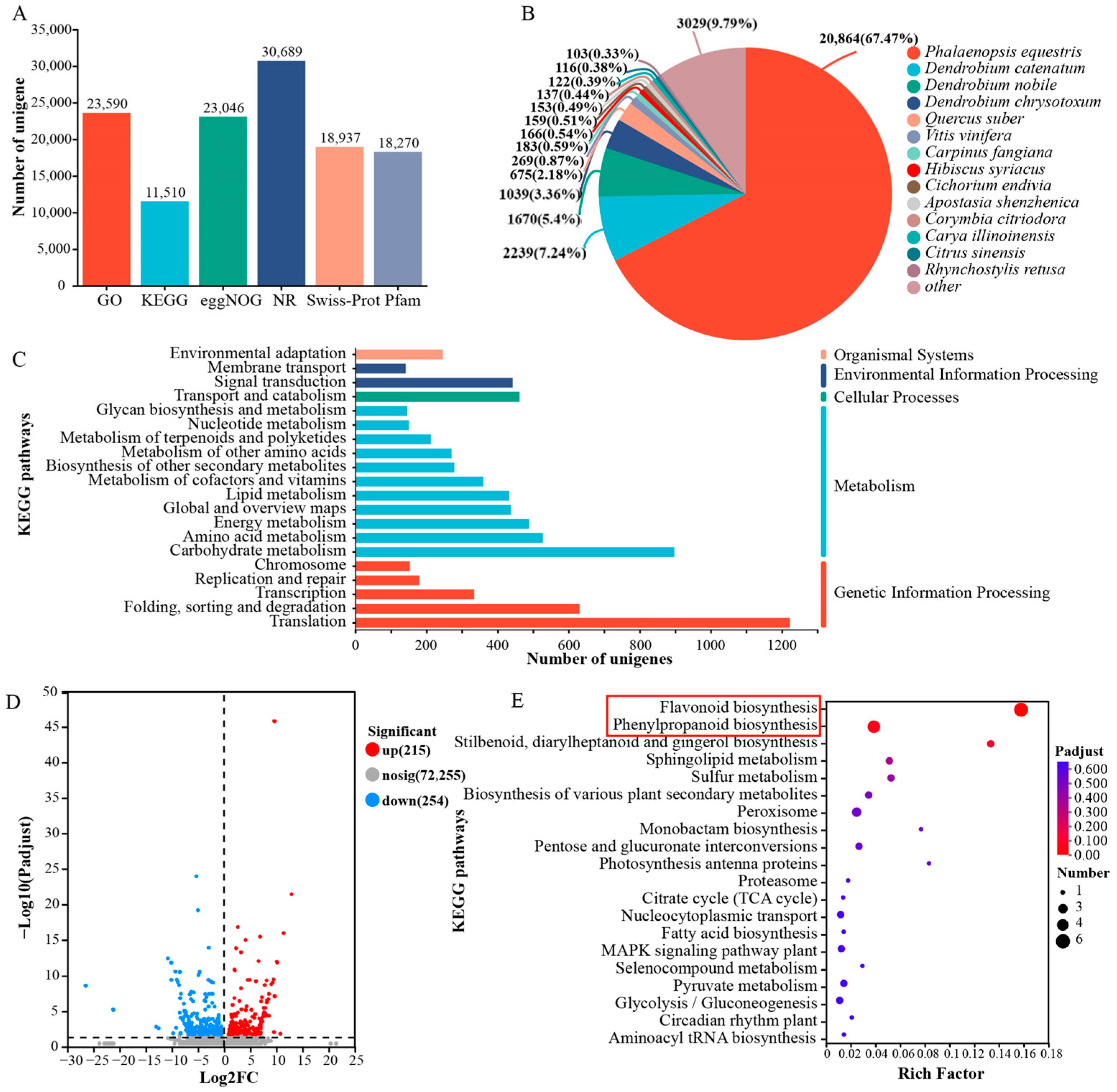 Biomolecules 15 00906 g002