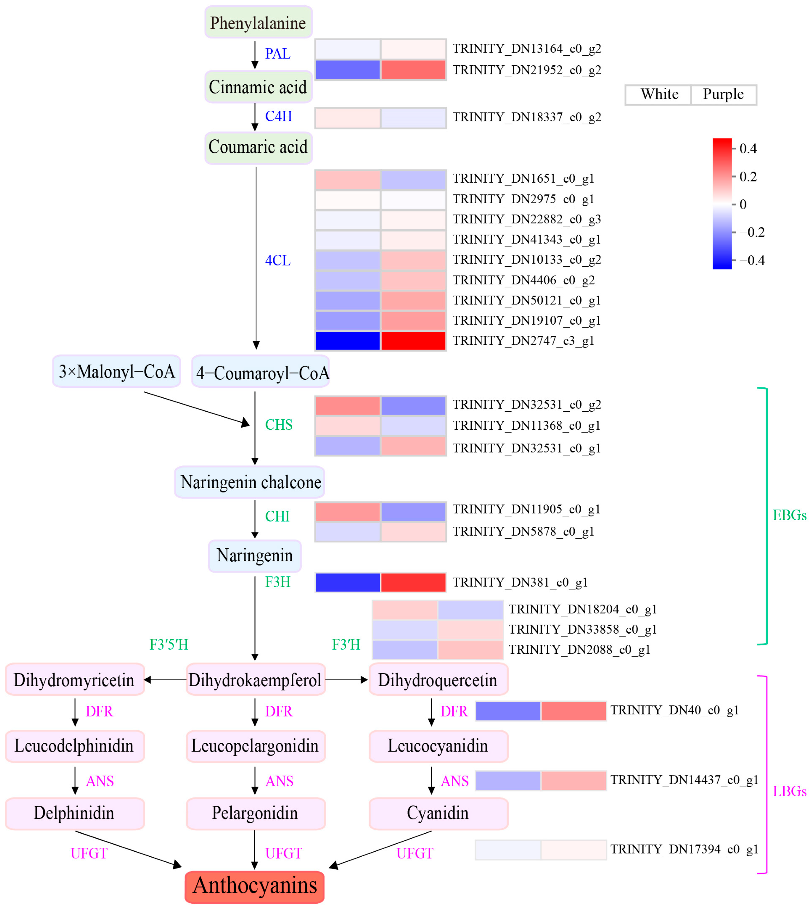 Biomolecules 15 00906 g003