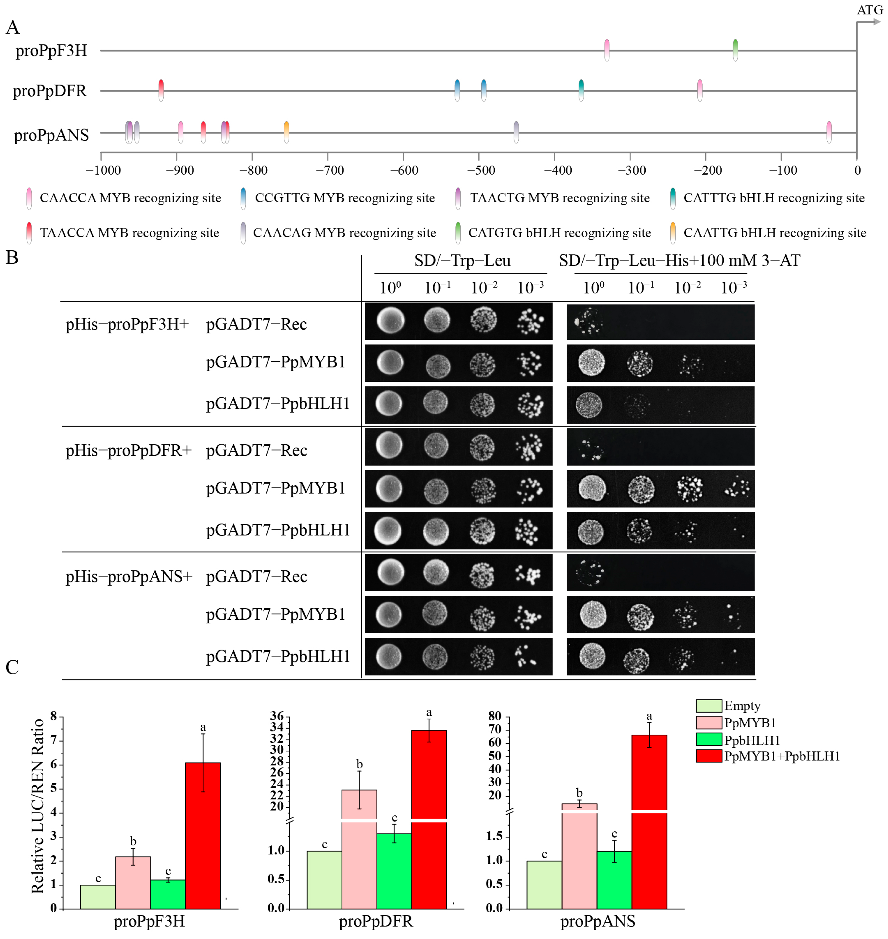Biomolecules 15 00906 g008