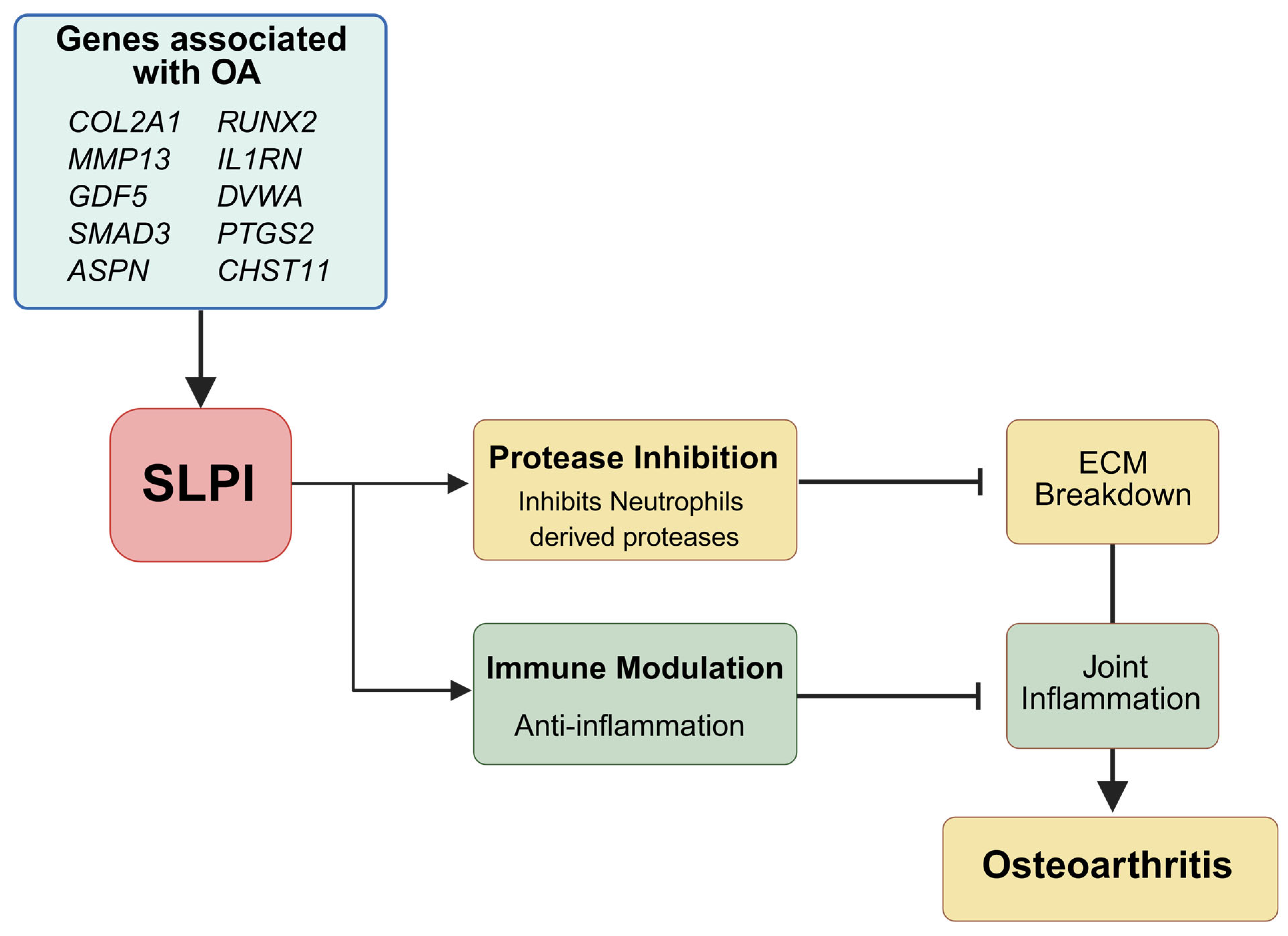 Biomolecules 15 00909 g001
