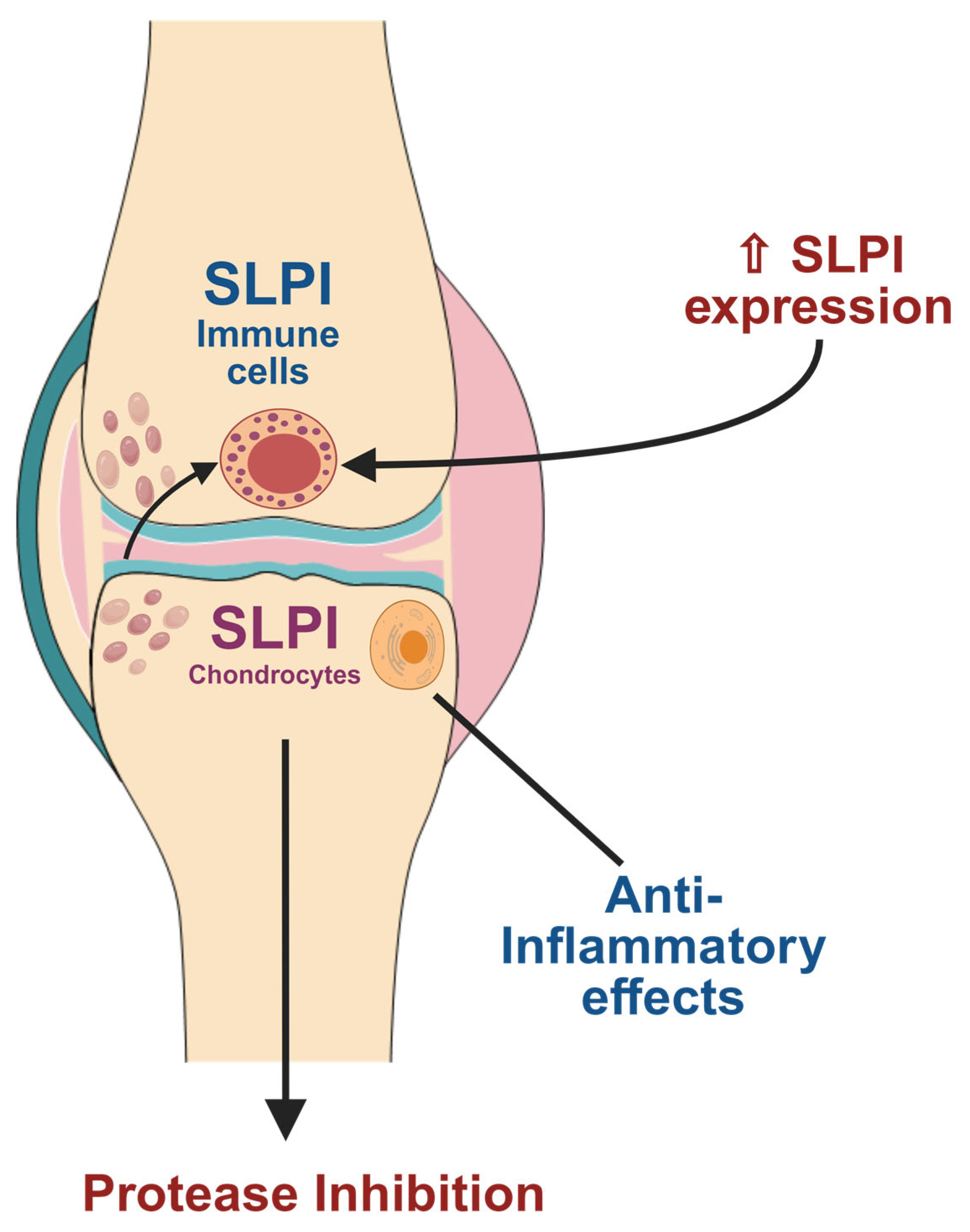 Biomolecules 15 00909 g003