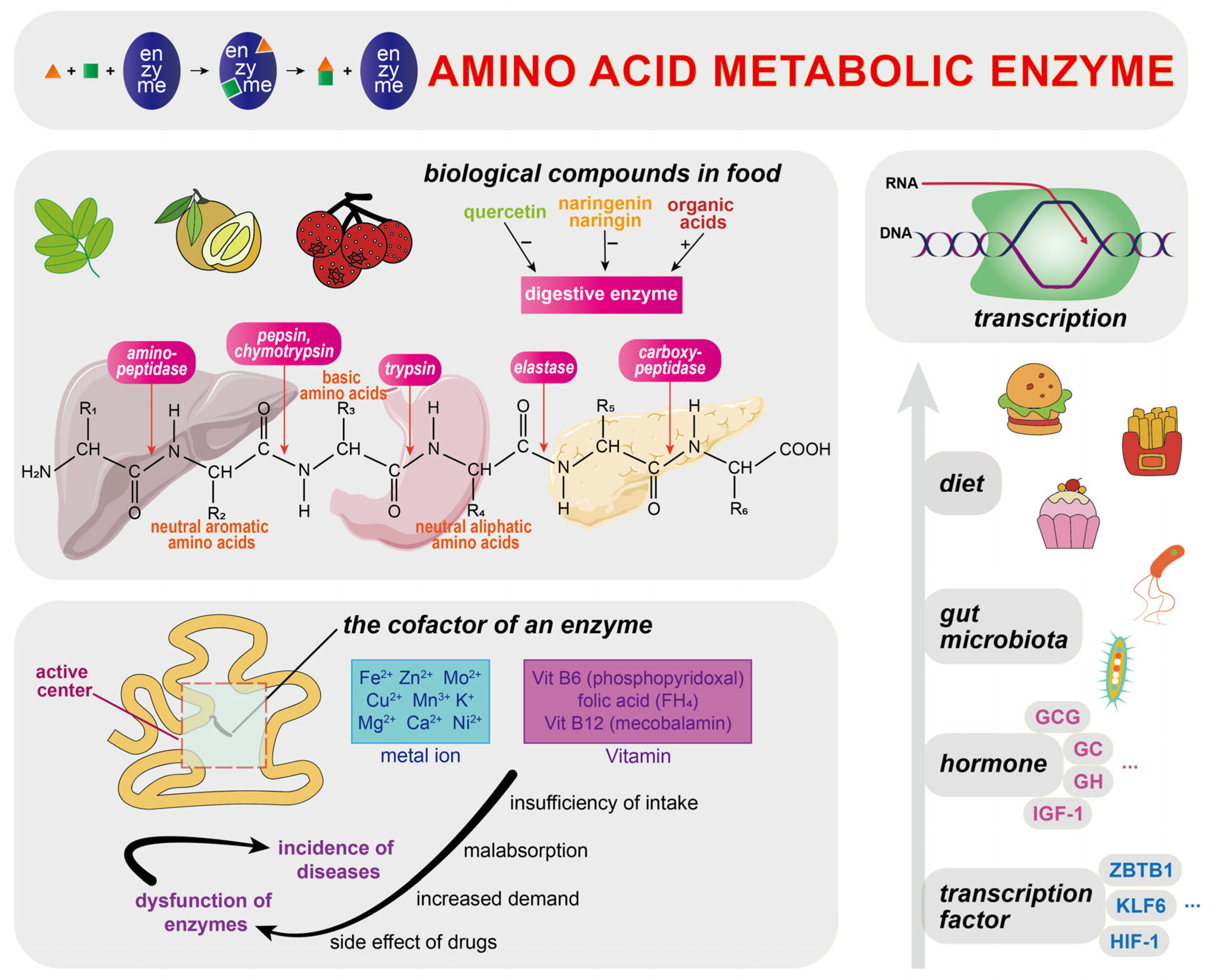 Biomolecules 15 00916 g002 Biomolecules 15 00916 g002