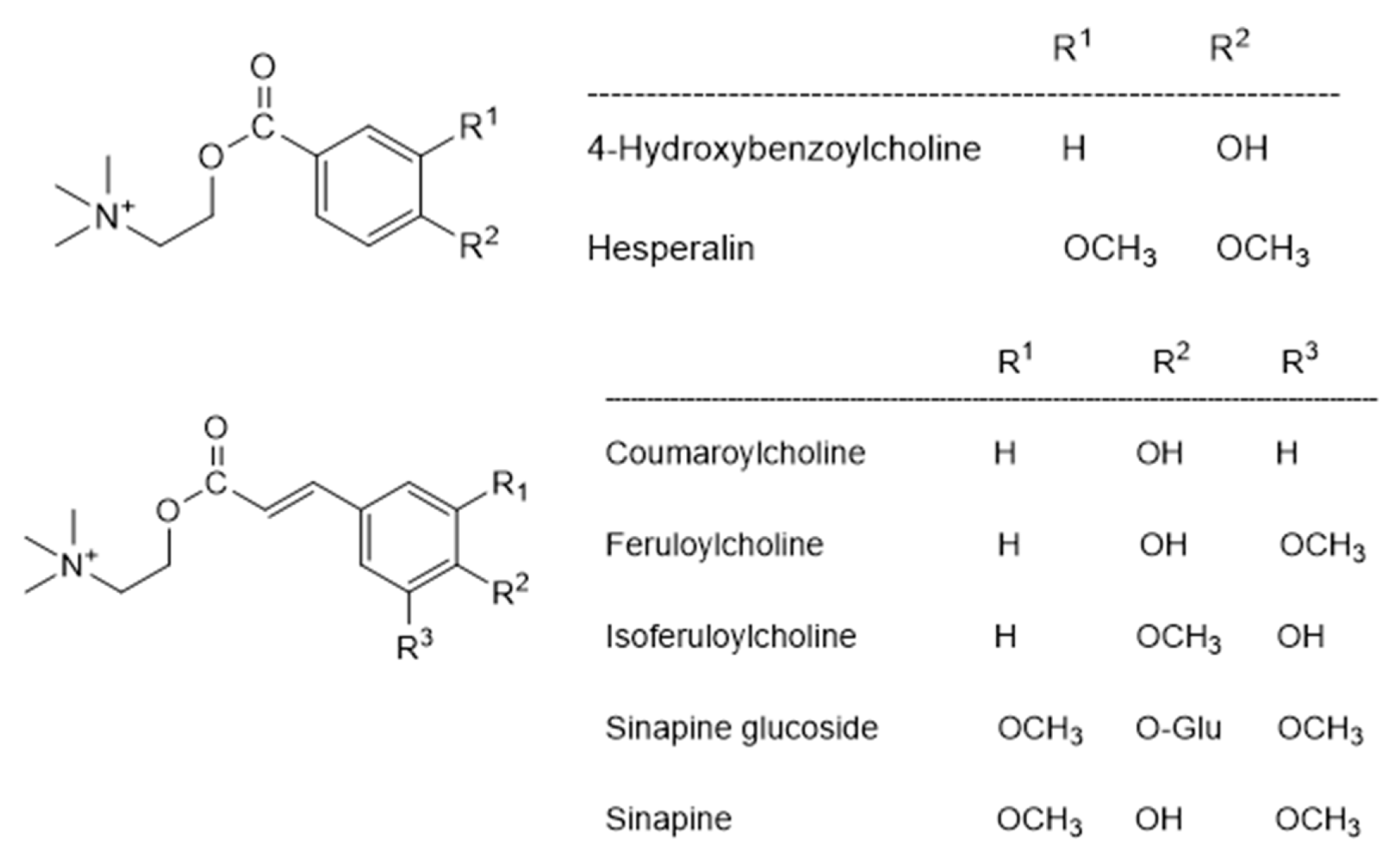Biomolecules 15 00917 g007