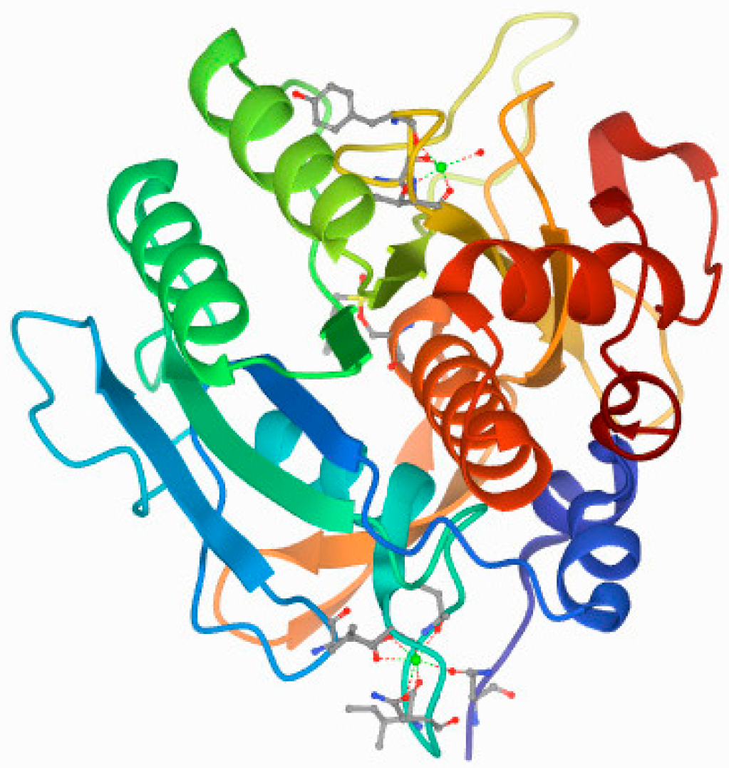 Biomolecules 15 00917 g009