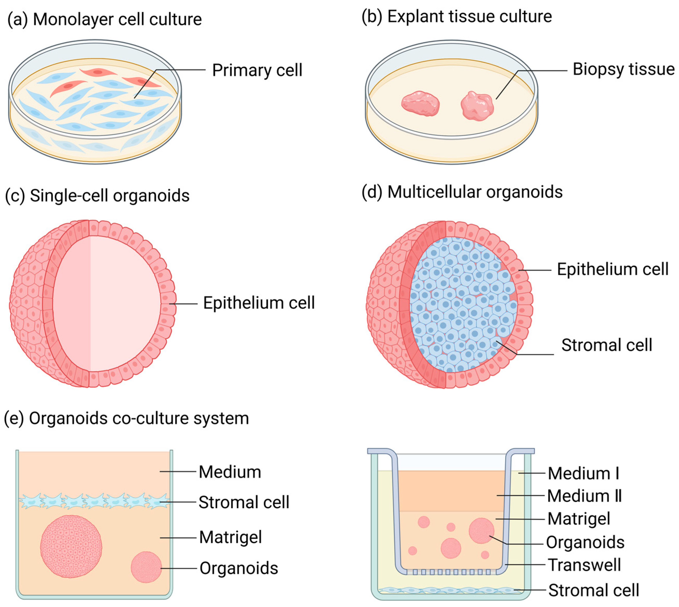 Biomolecules 15 00925 g001