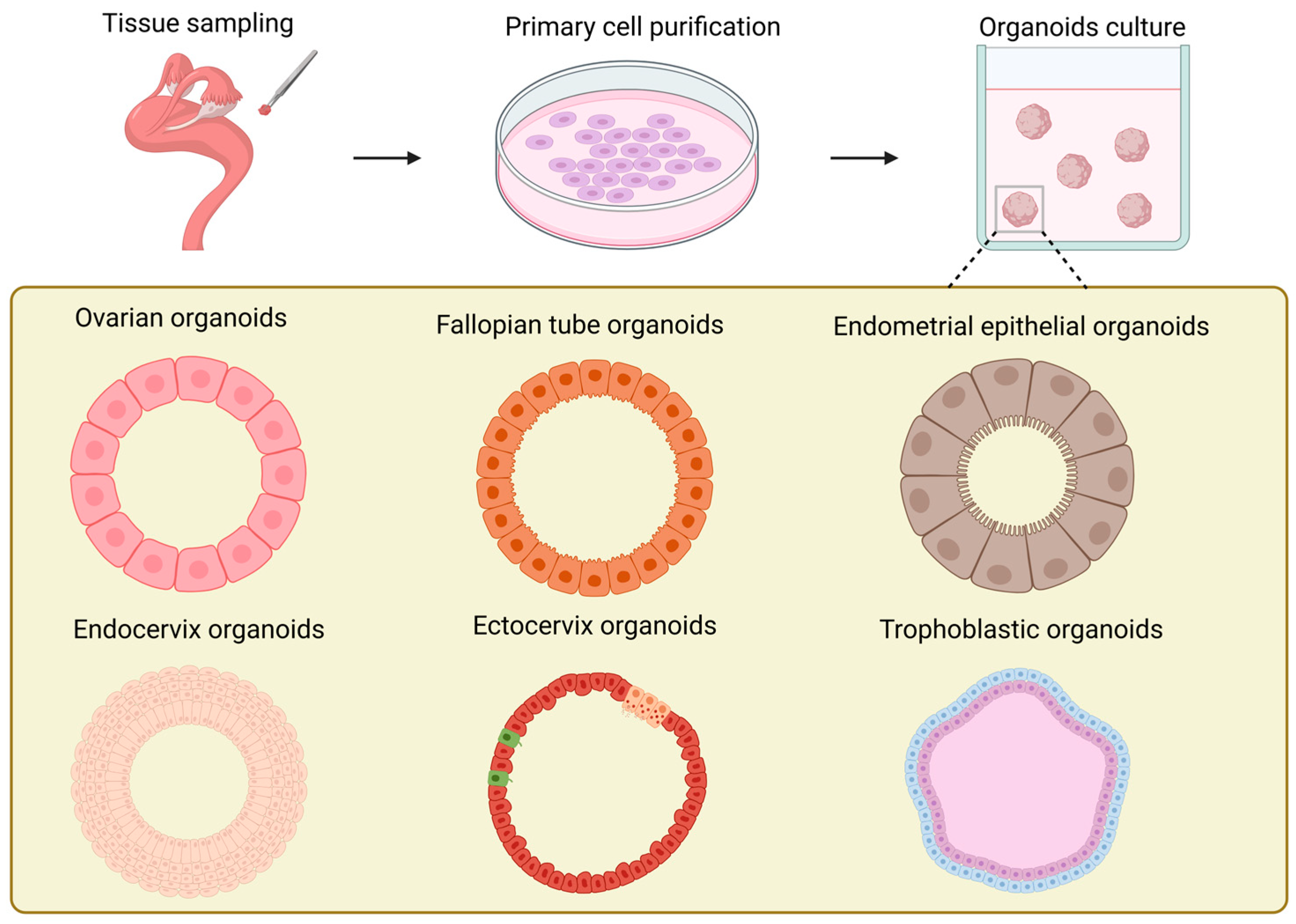 Biomolecules 15 00925 g003