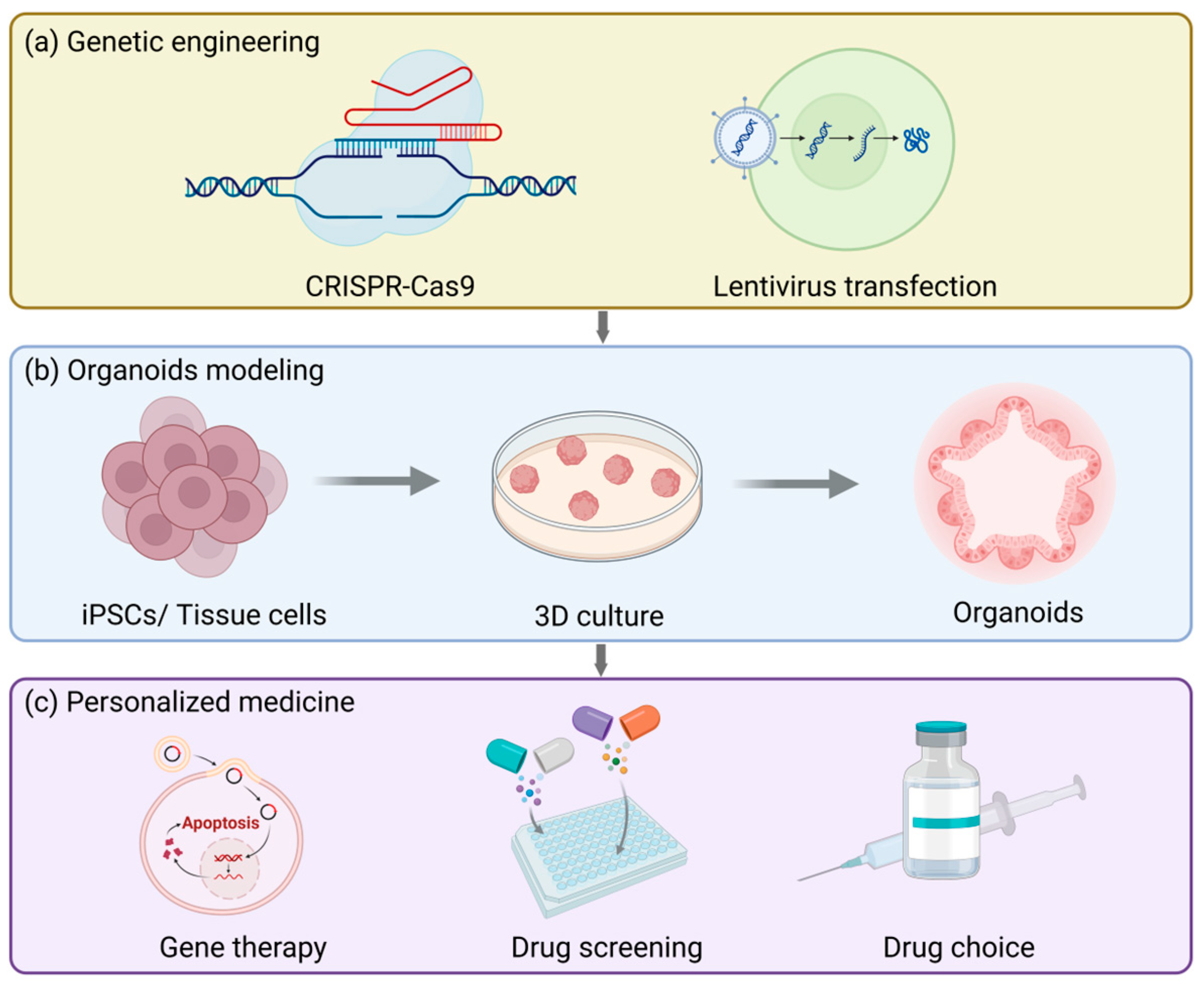 Biomolecules 15 00925 g005