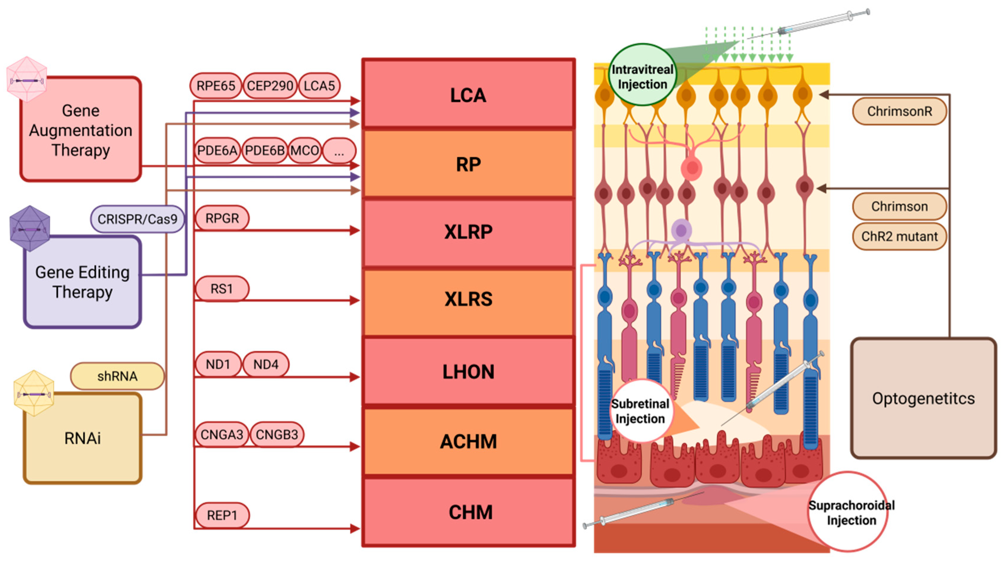 Biomolecules 15 00940 g003 Biomolecules 15 00940 g003