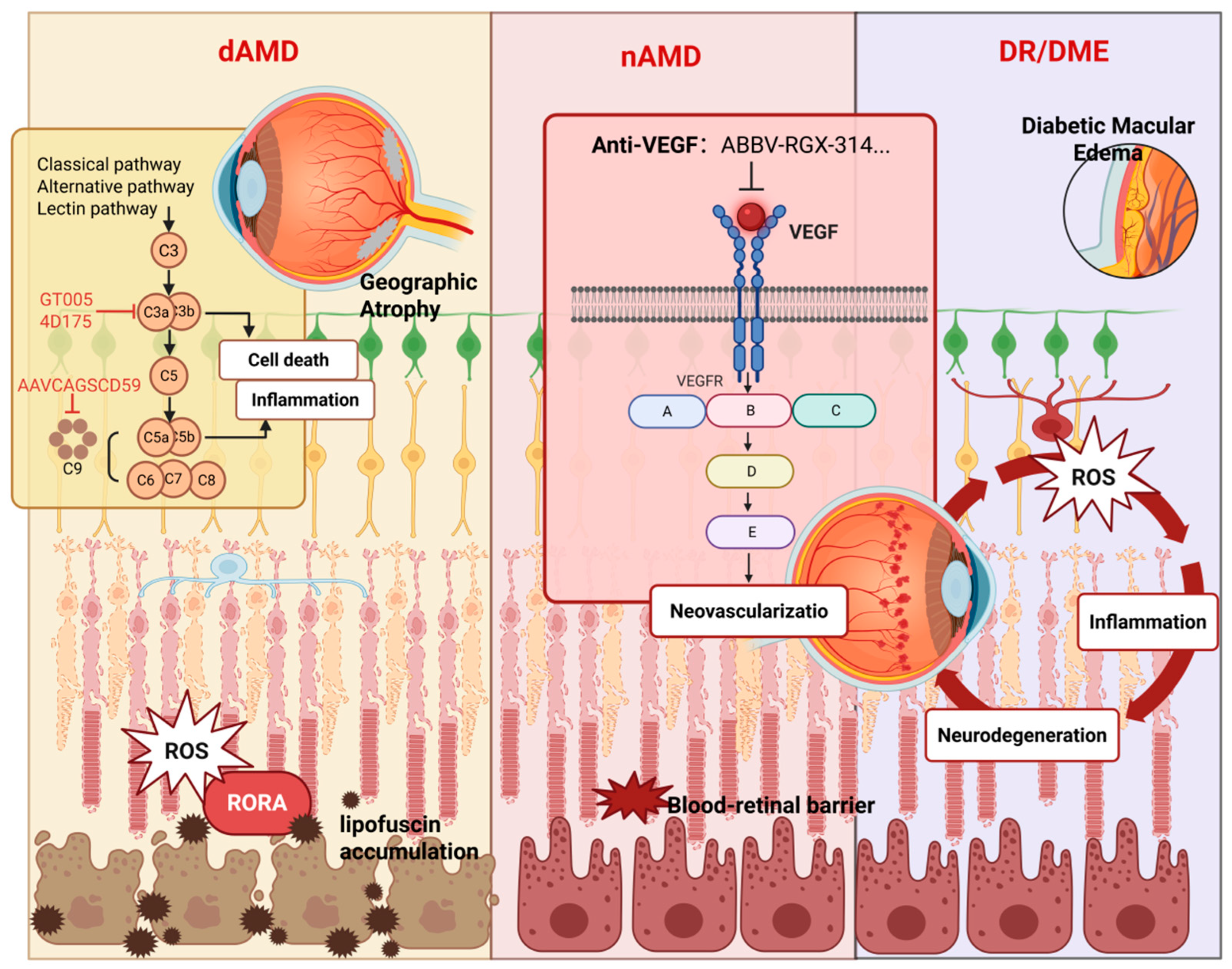 Biomolecules 15 00940 g004 Biomolecules 15 00940 g004