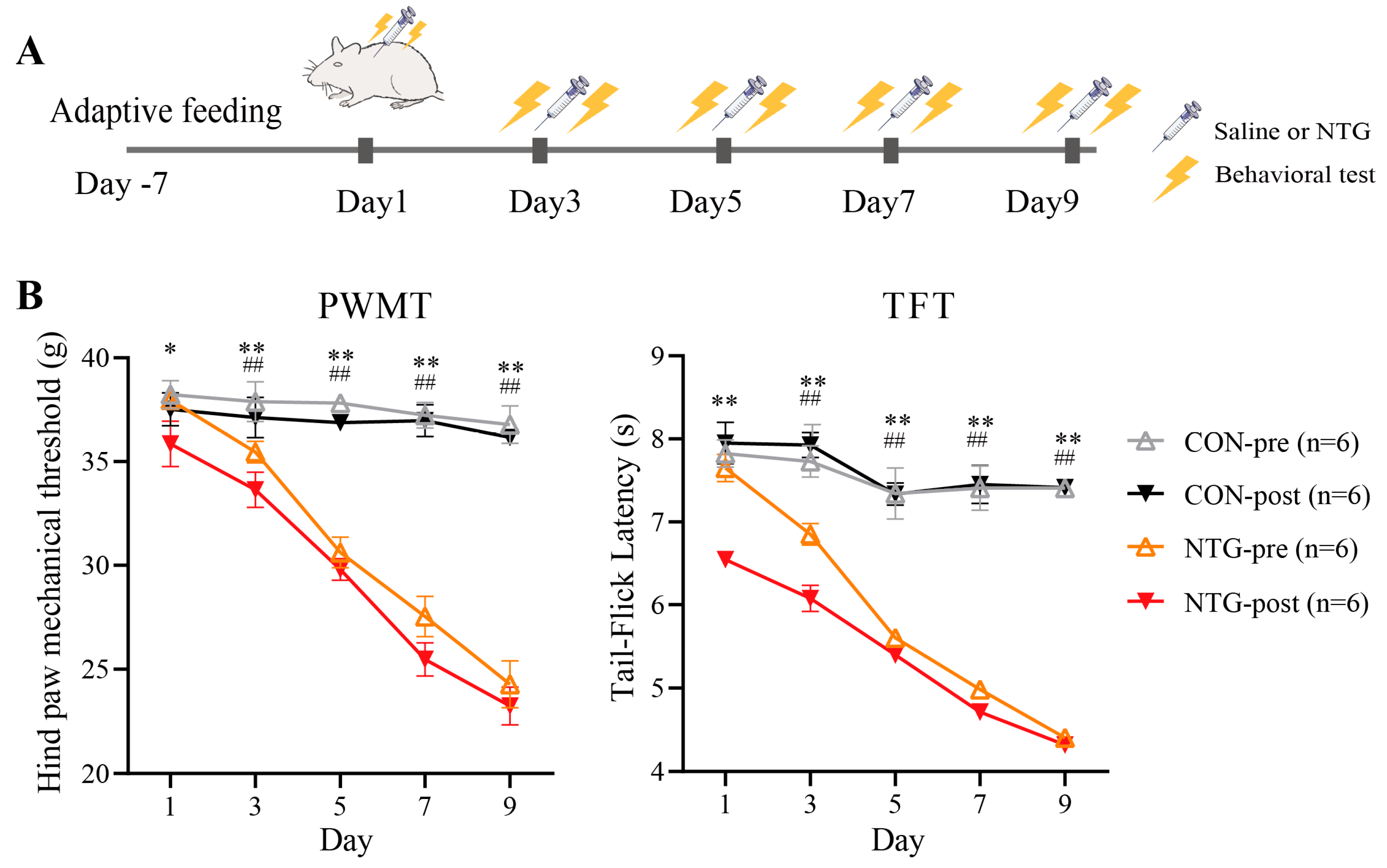 Biomolecules 15 00942 g001