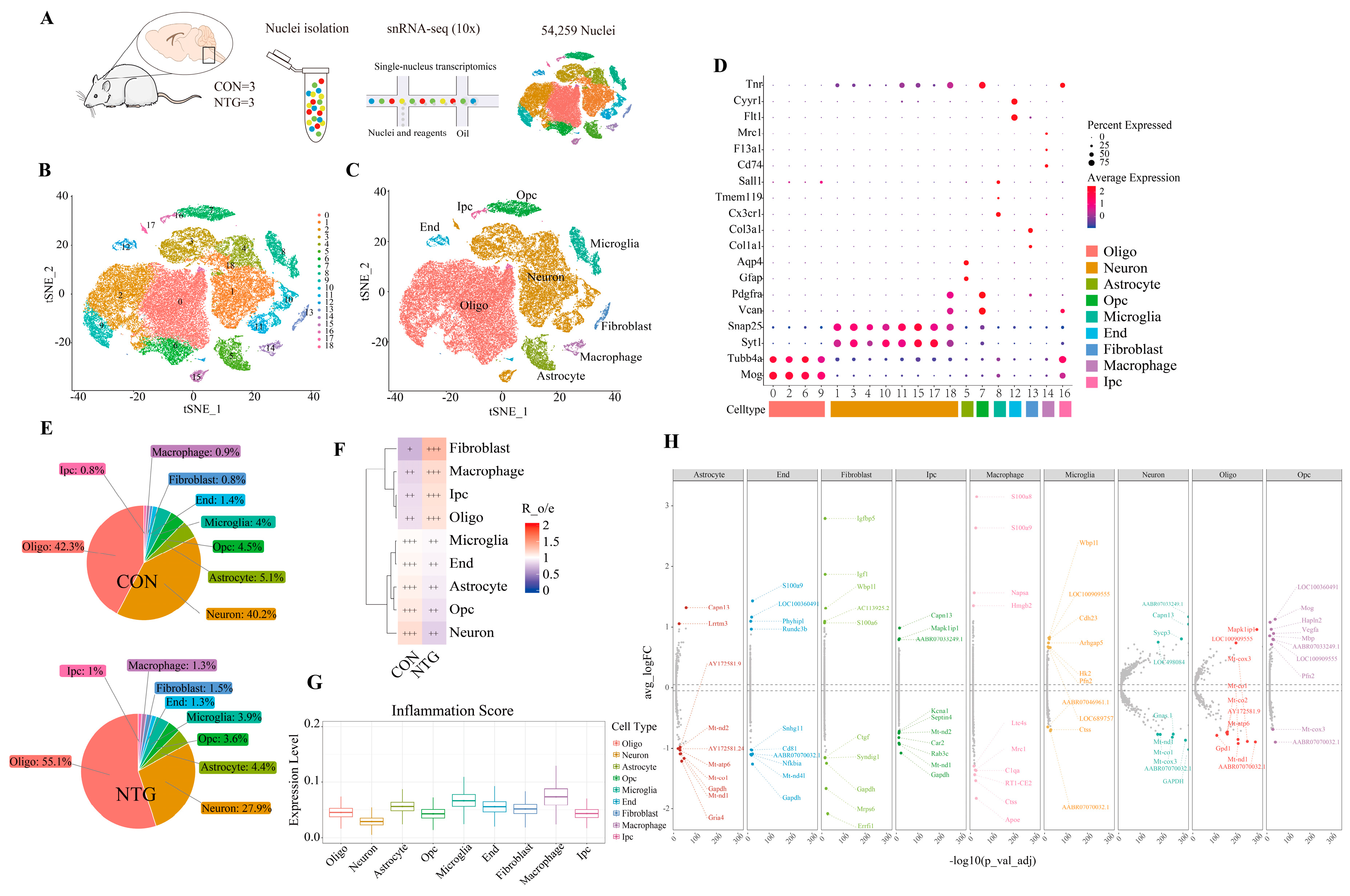 Biomolecules 15 00942 g002